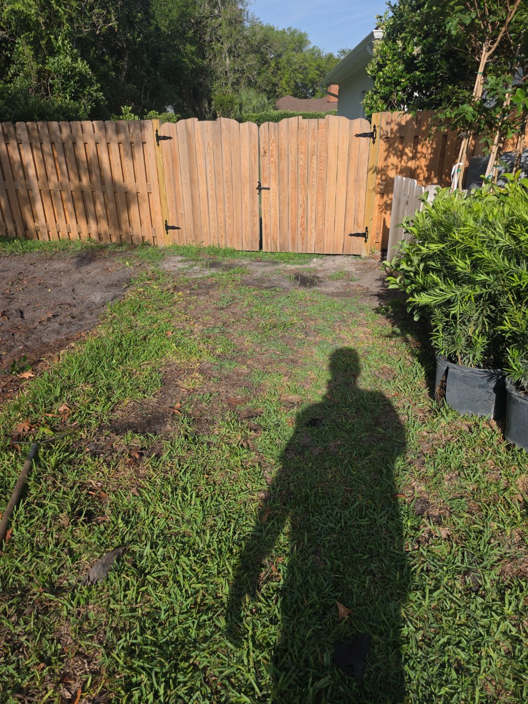 Deerwood Resident | Landscaping & Sod by ProGreen Services