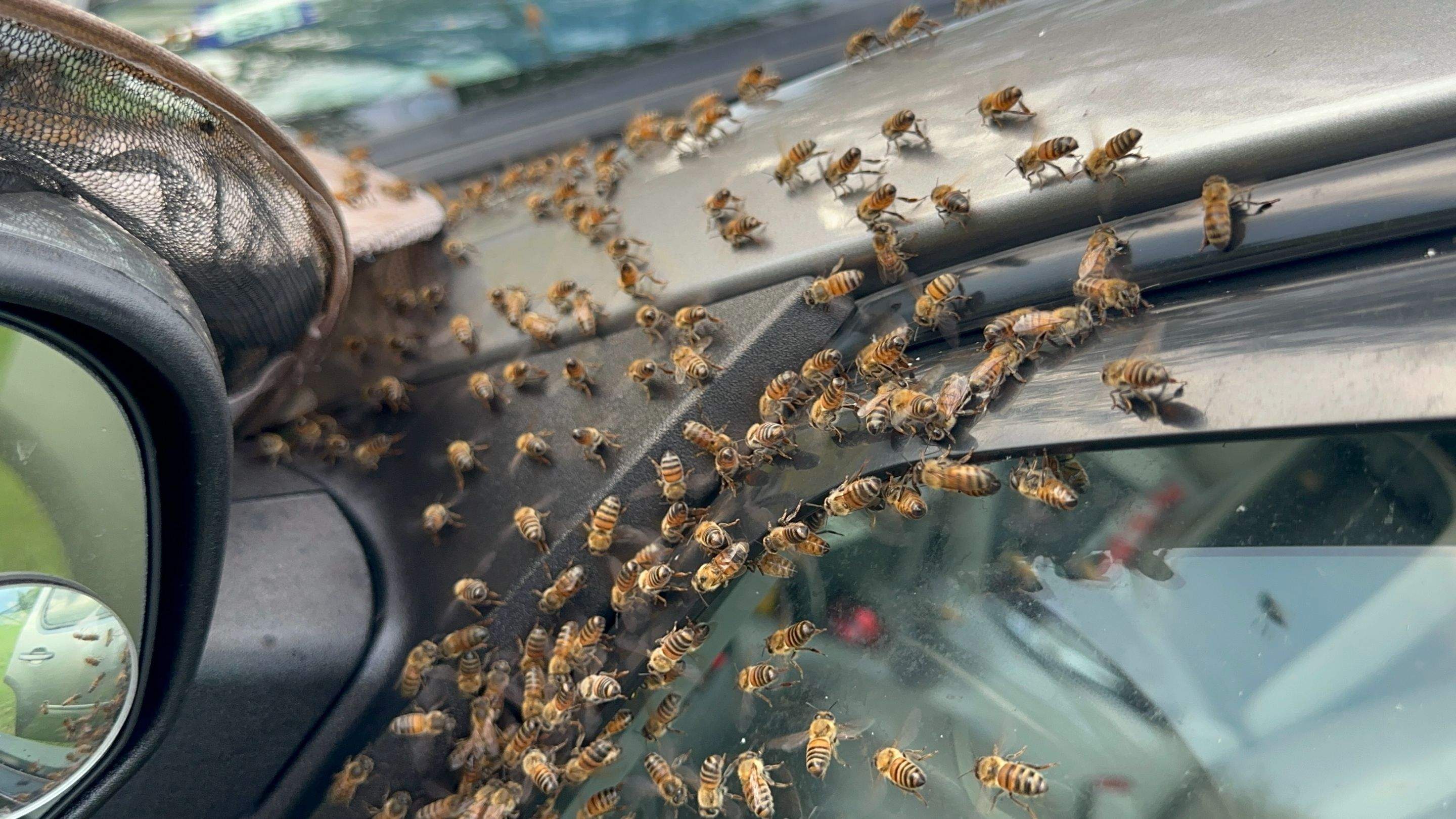 Composter by Rockwall Honey Bee Company