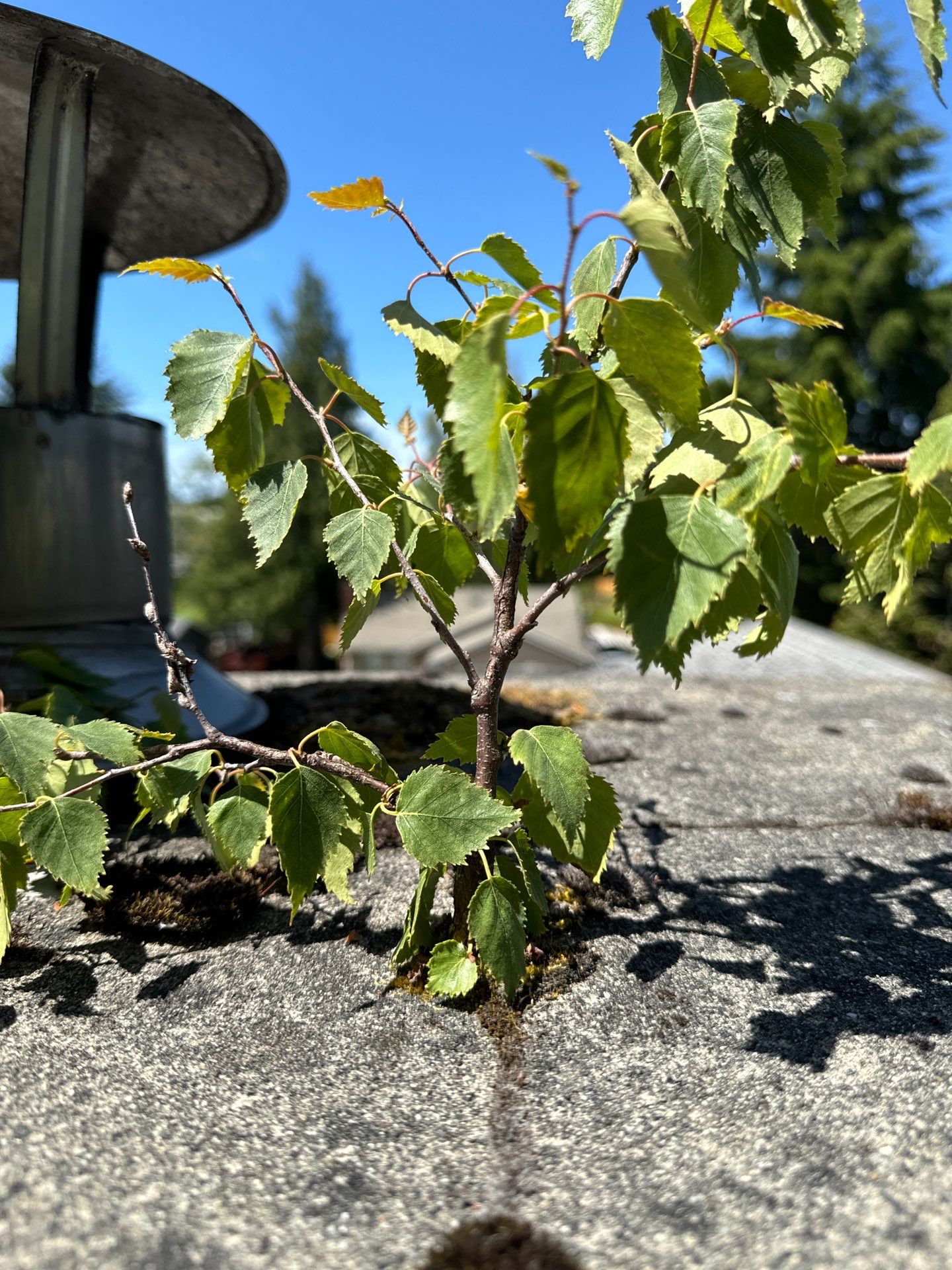 Project by Connolly Construction Company by Connolly Construction Company