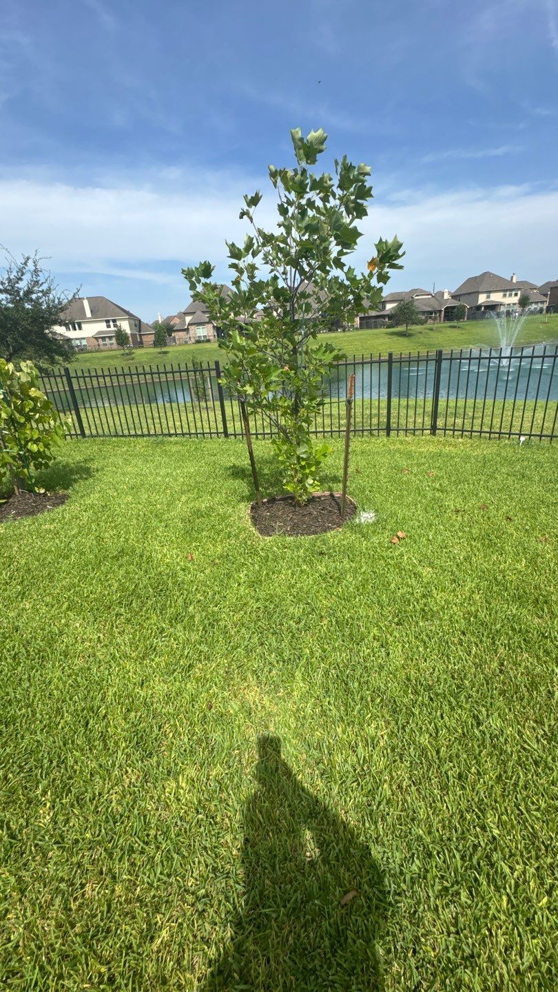 ���🌿 Mr. Ken’s Front Yard Flower Bed Enhancement by Texas Urban Elements