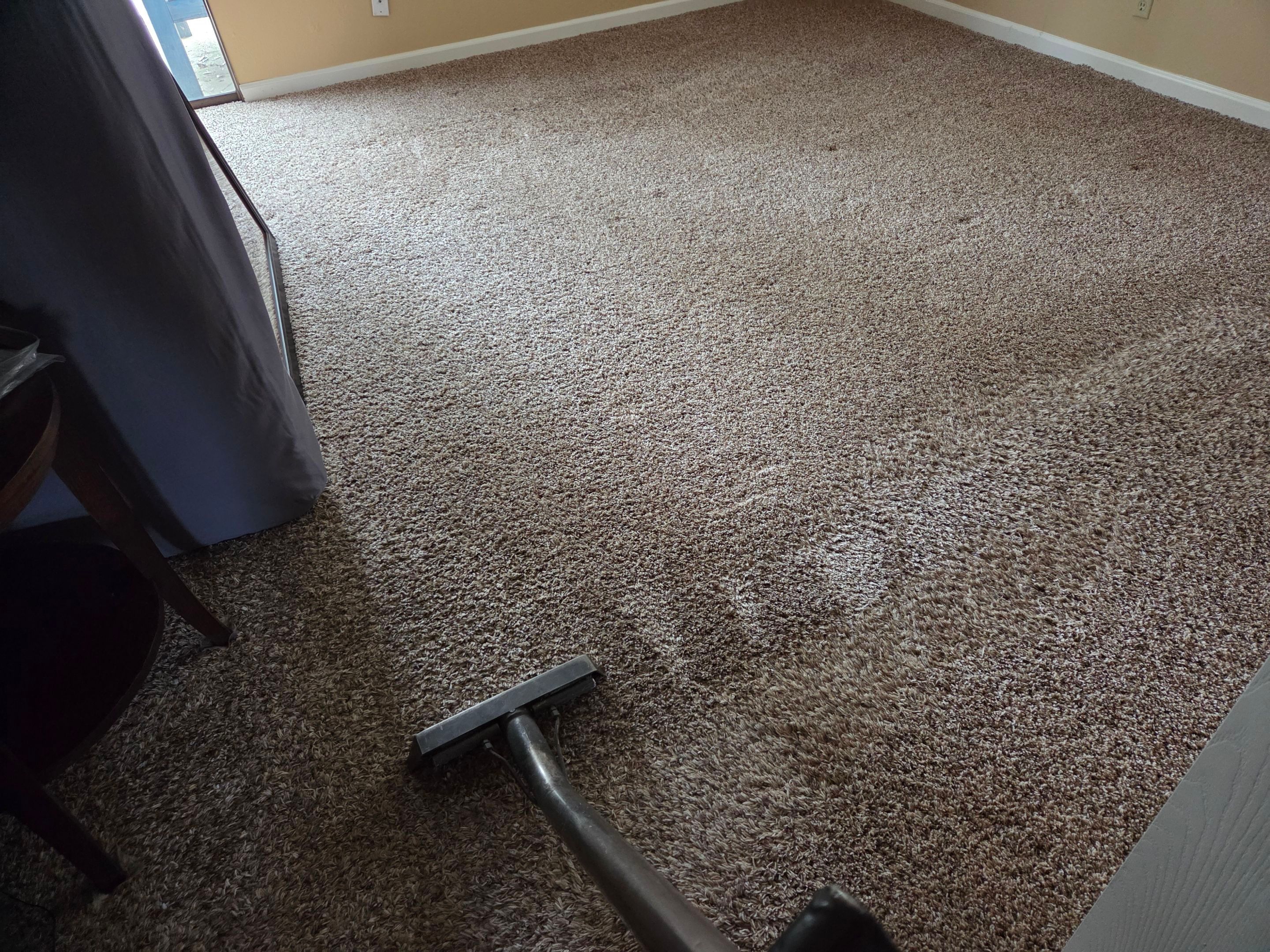 Carpet Cleaning for a House Listing by Ardent Carpet Restore LLC