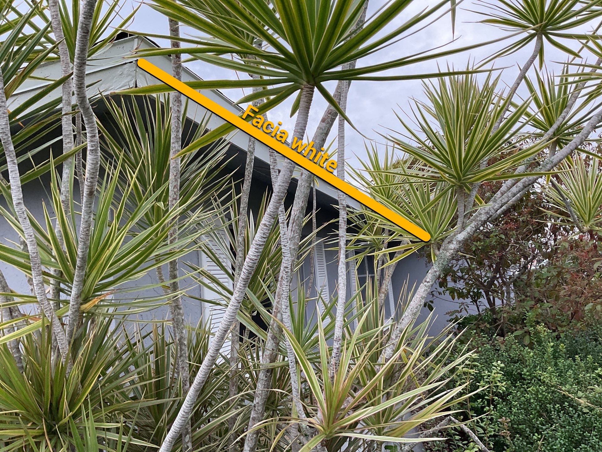 Gutter Repair and Cleaning in Cape Coral FL by Gutter Professors