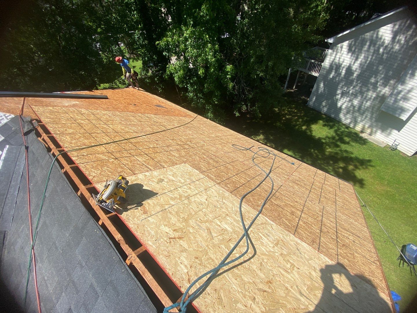 Rotten Wood by Roof Bullies