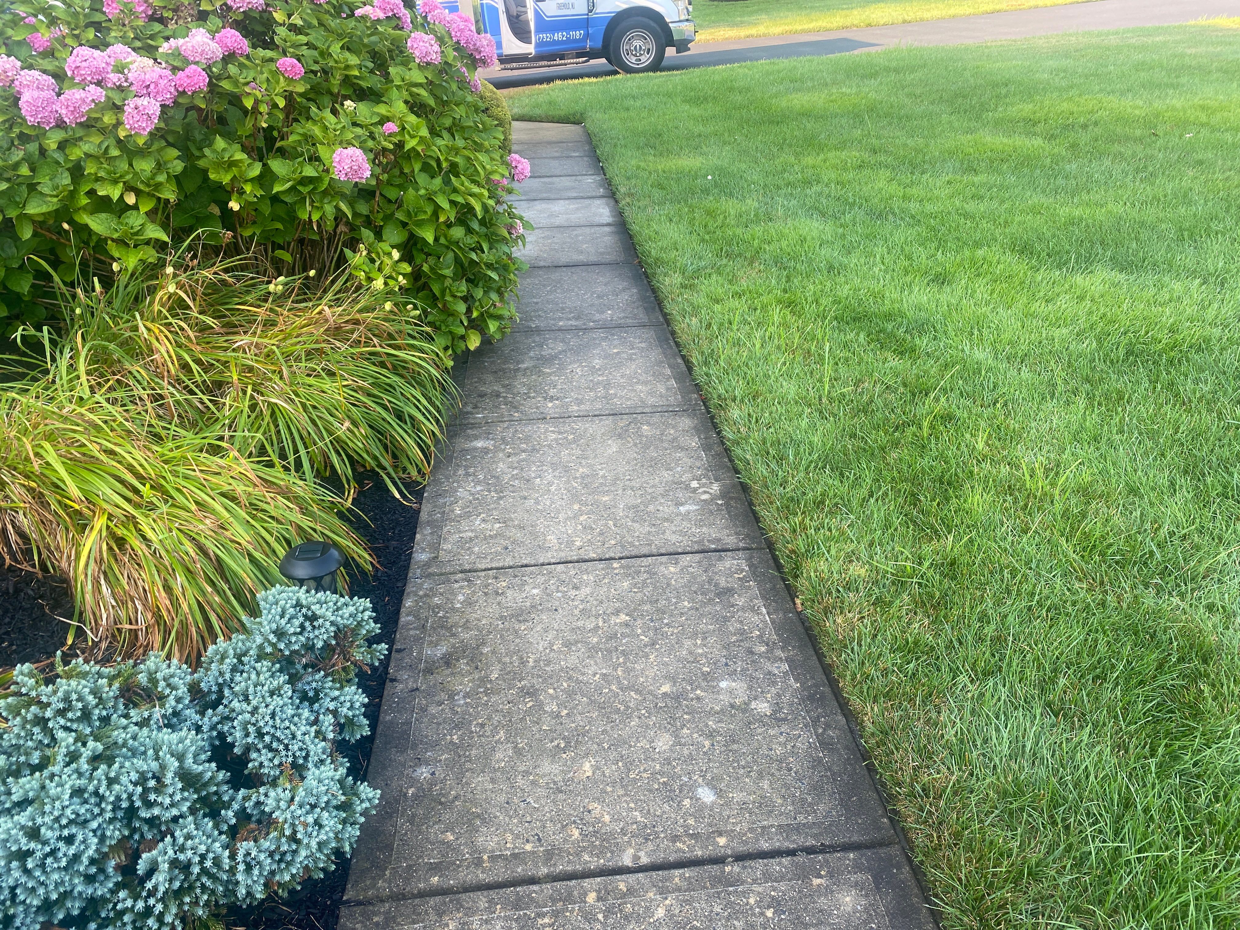 Pressure Washing in Freehold, NJ by Clearview Washing