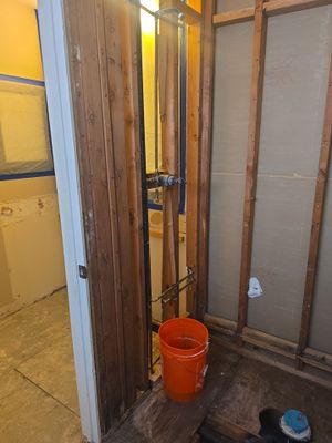 Inspecting Water Leak in Shower
