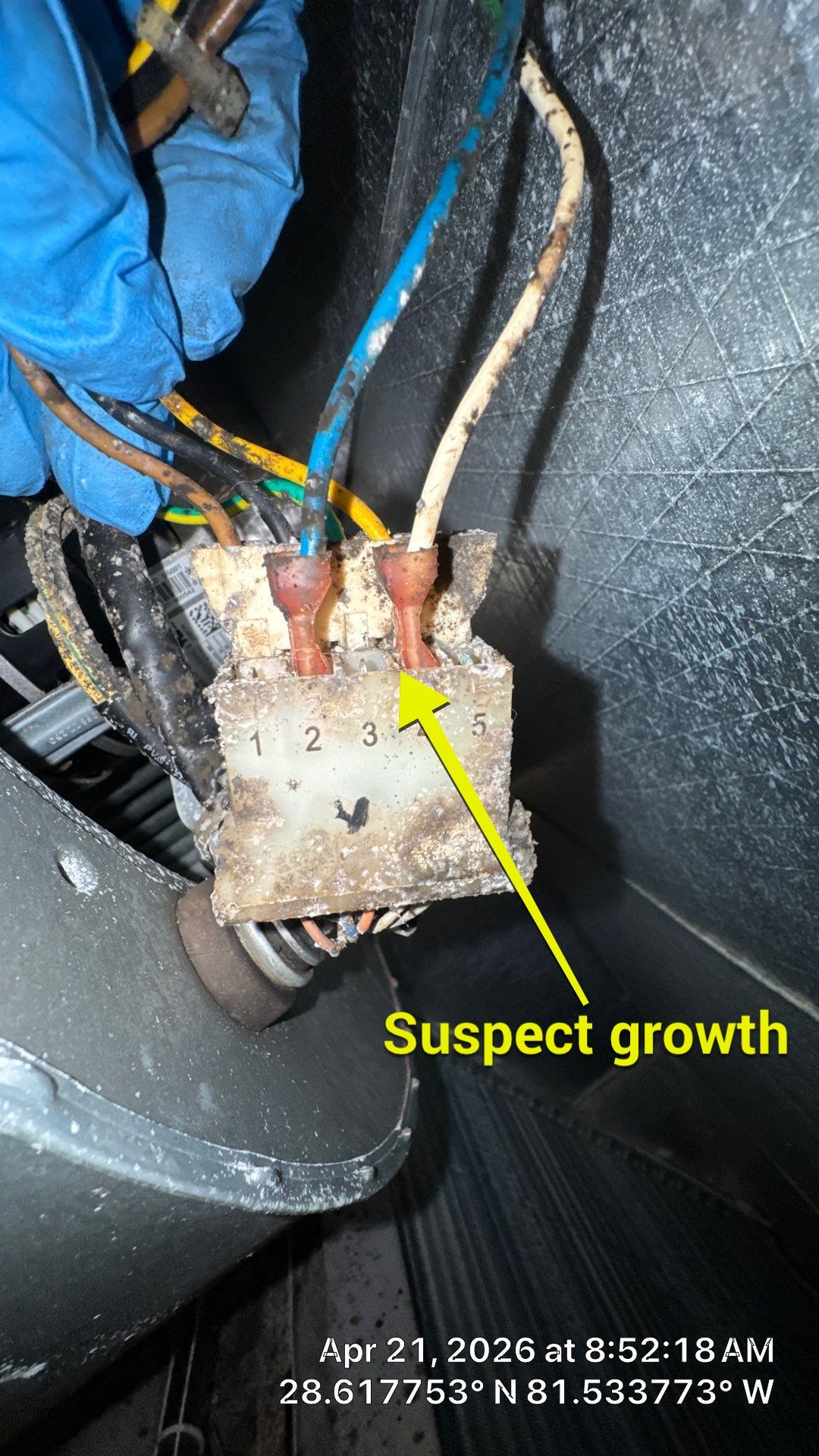 Air Duct Cleaning in Ocoee by Hygienic Air, Inc