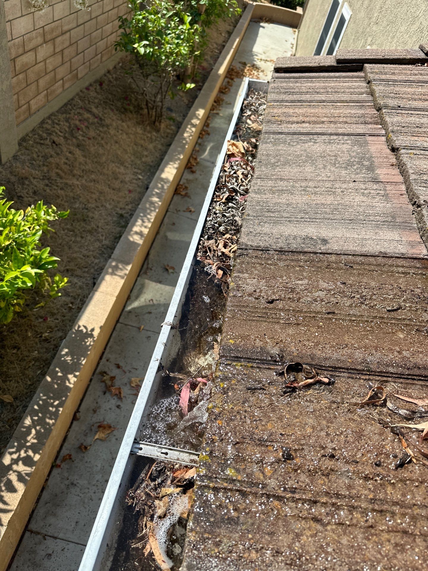 Orange County Roof Washing in Lake Forest by Property Cleaning Experts