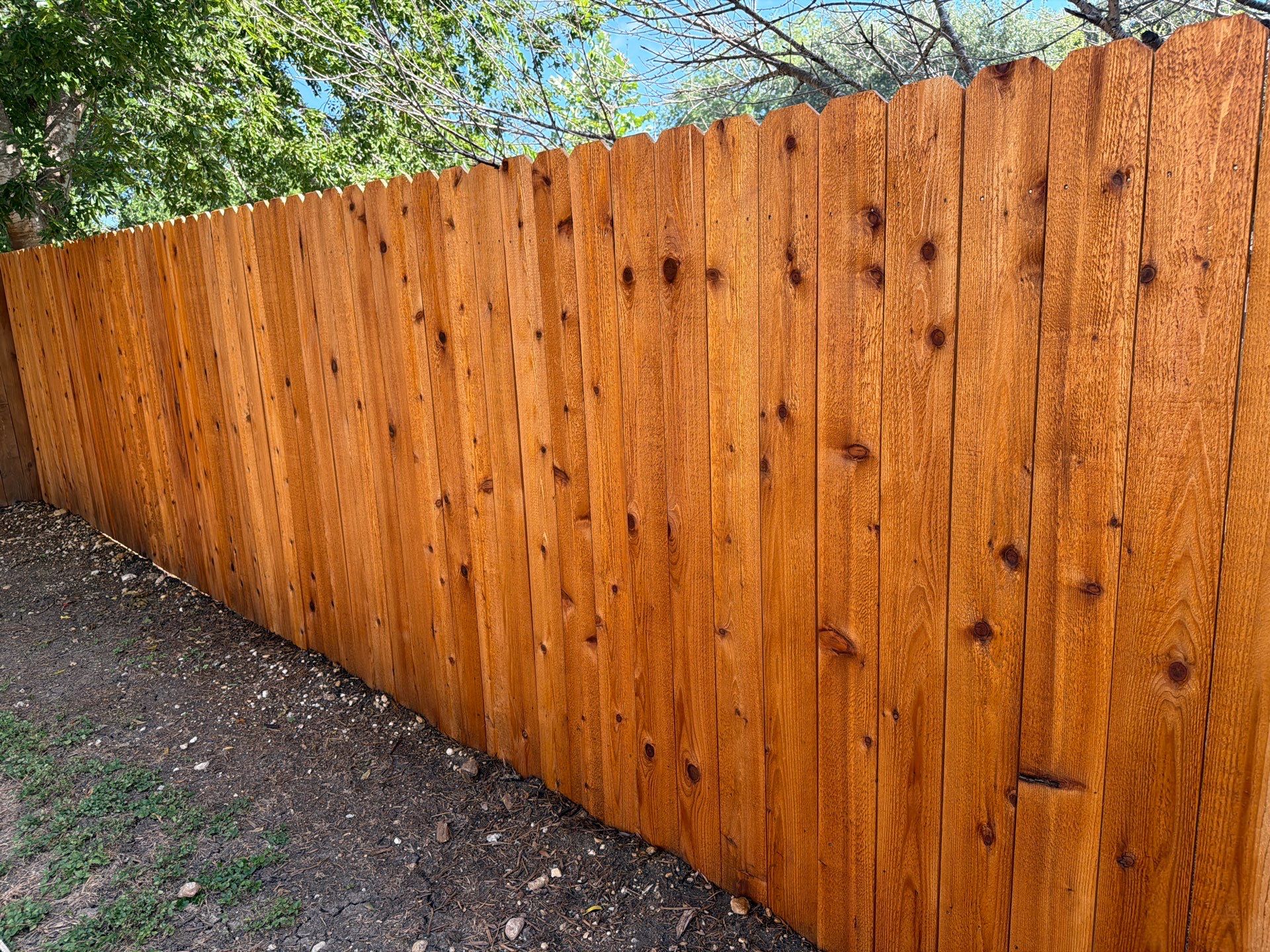 Austin Cedar Fence Stain by Rhino Home Care