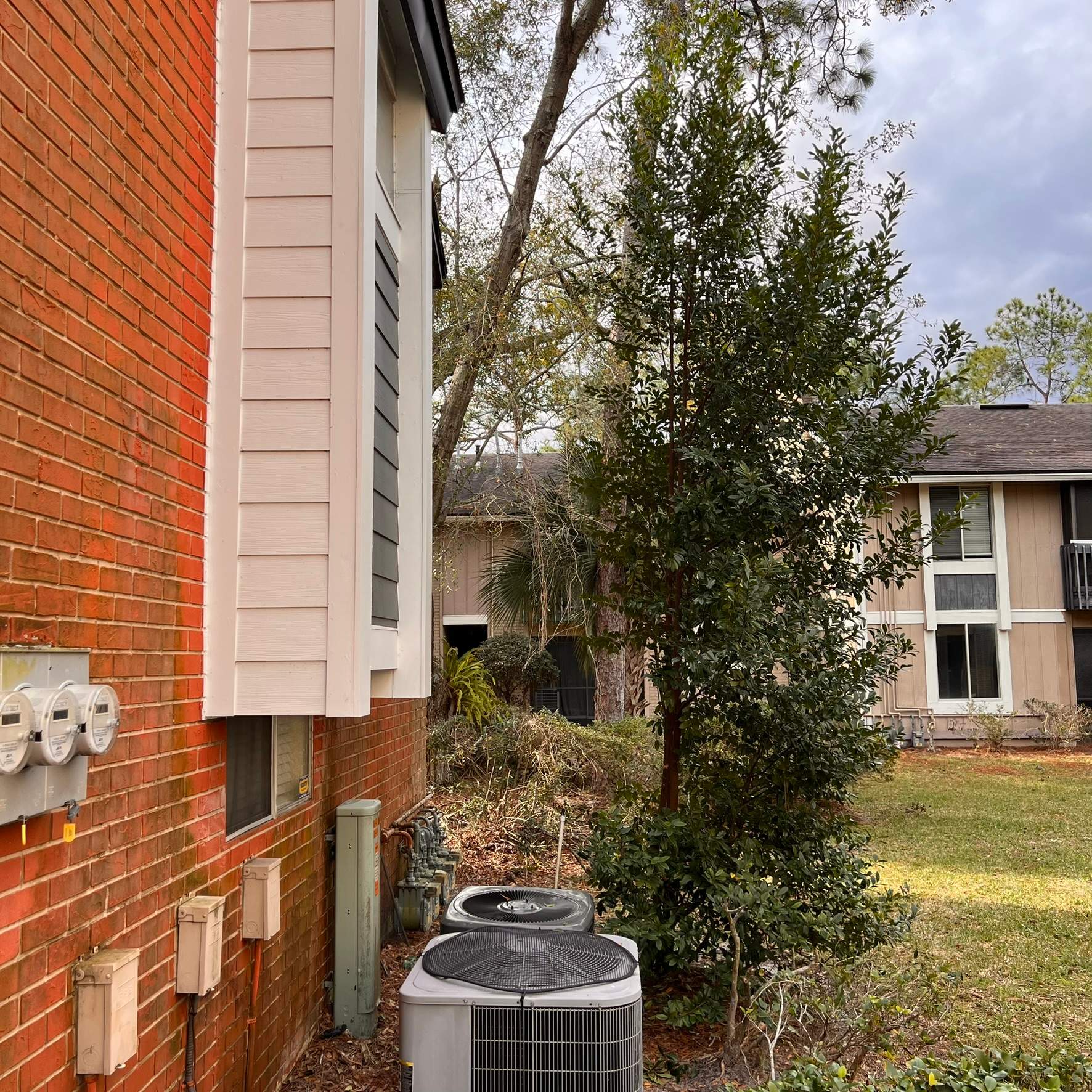 Tree Trimming | Preserve at San Jose by ProGreen Services