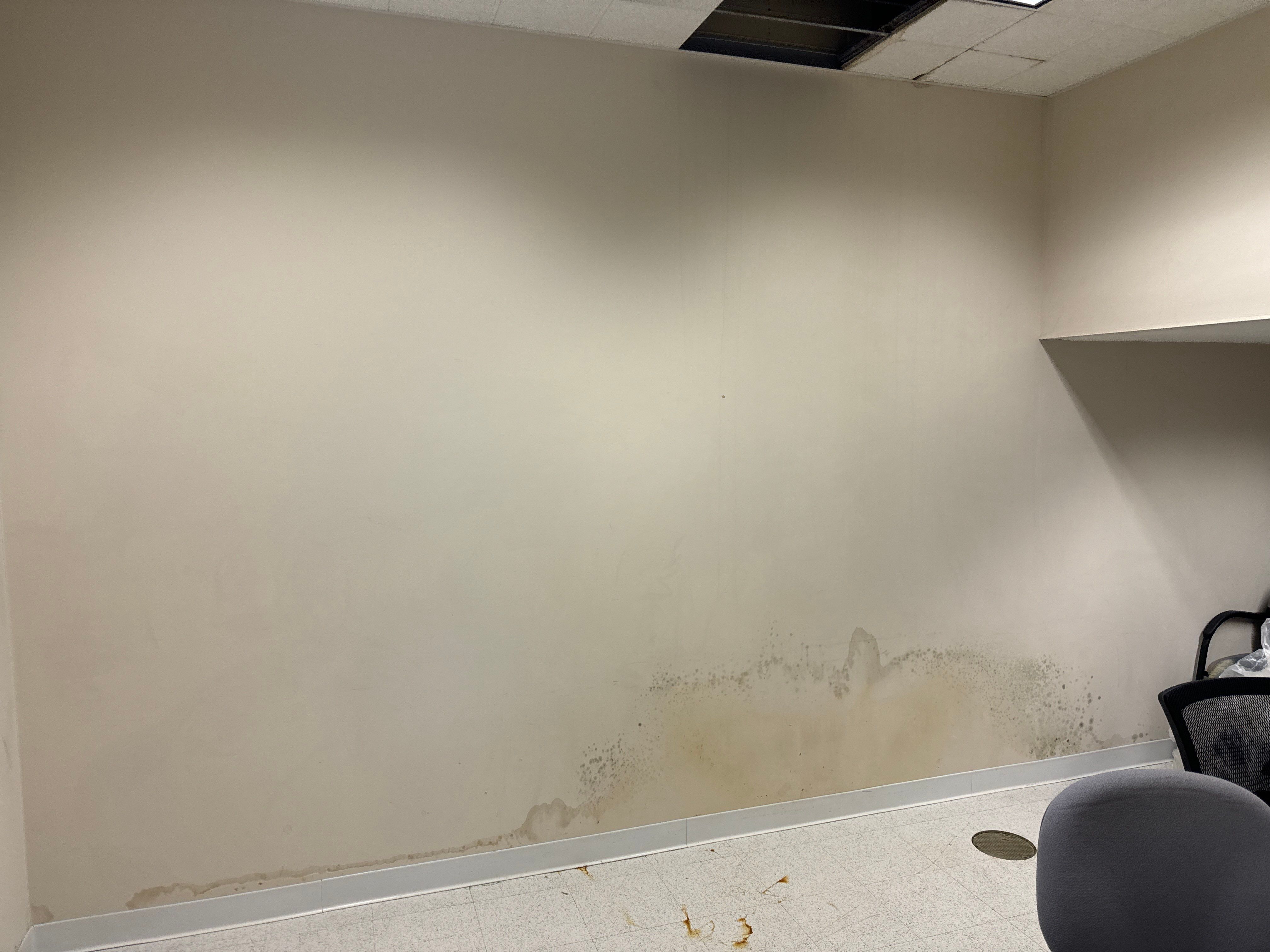 Mold Remediation Fairfield NJ by Pure Service Pro, LLC 