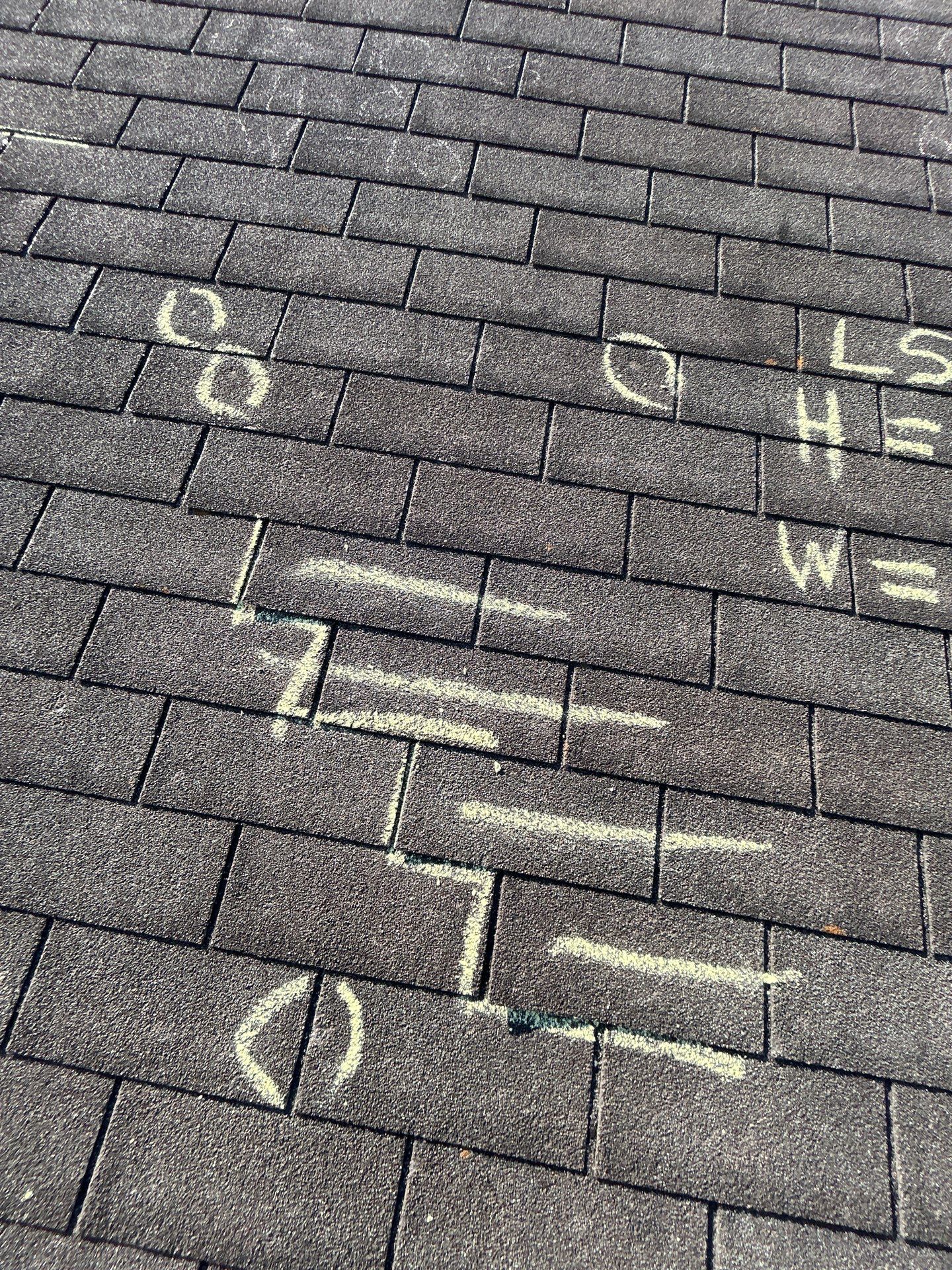 Miss Bridgette by REPS Austin Area Roofer