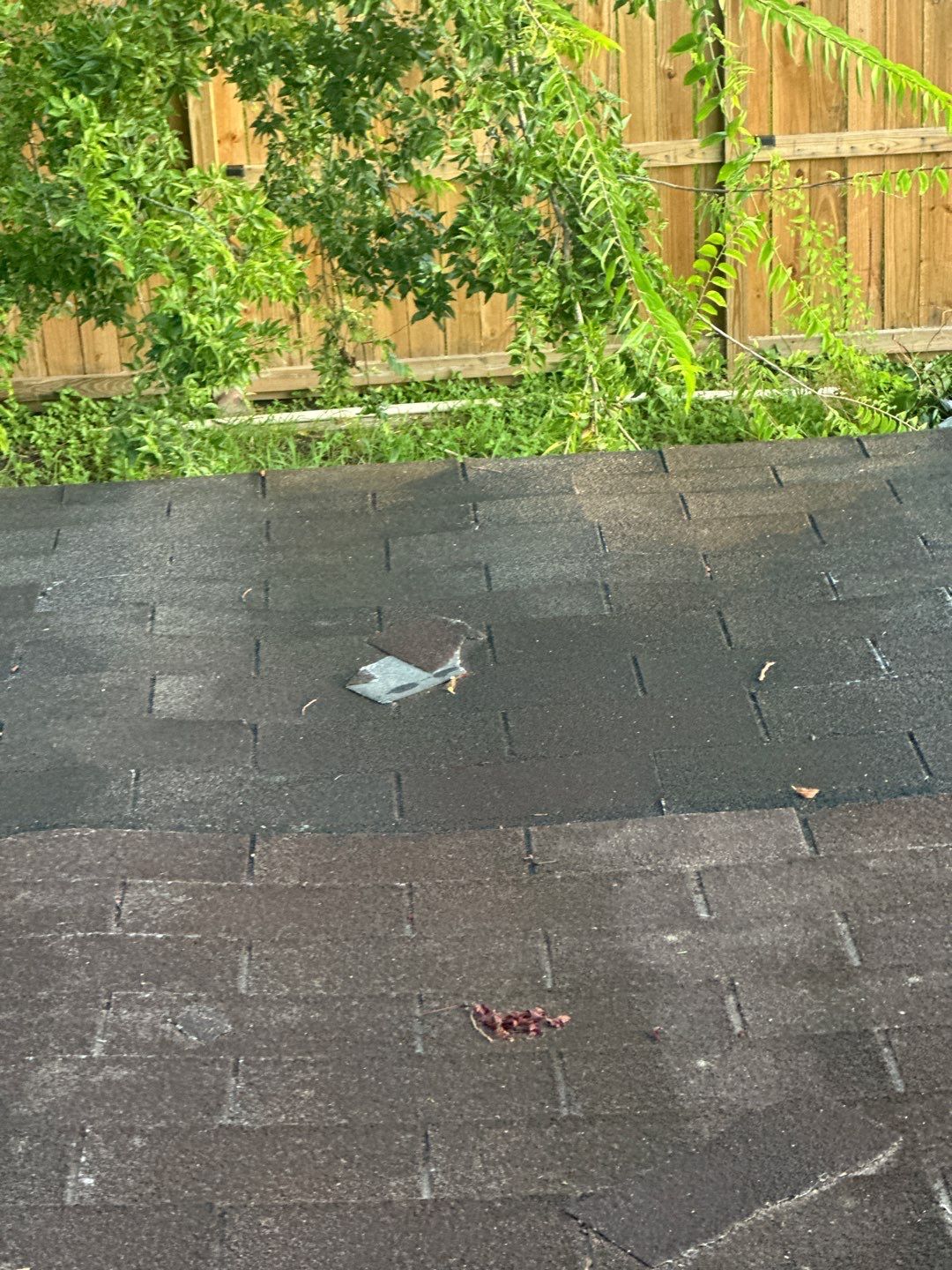 Roof Replacement Missouri City by Roof Repair Services LLC