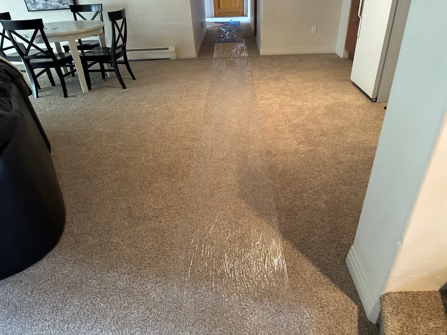 Mold Damage Project in Castle Rock by Accountable Home Services