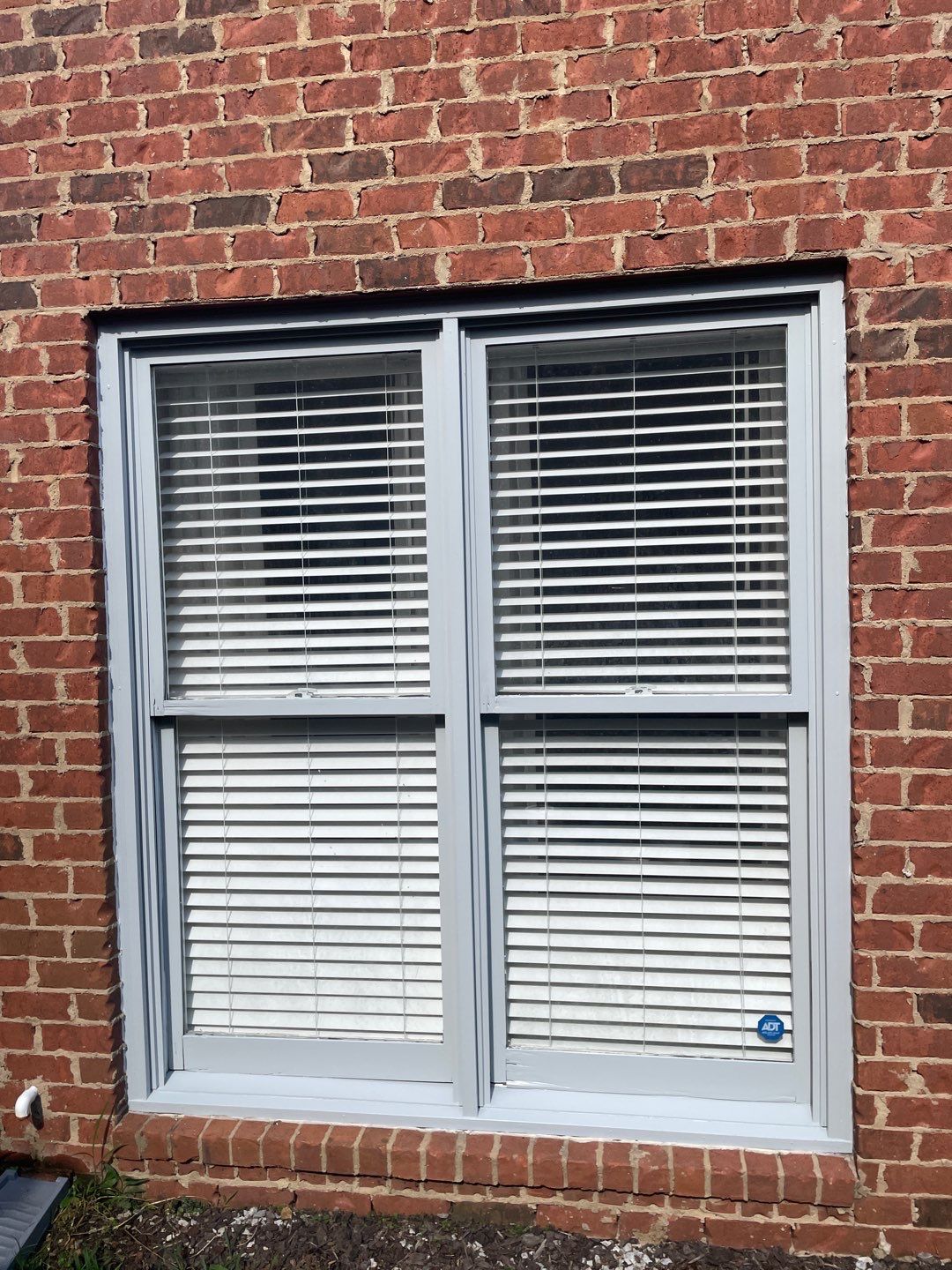 Downing Park - Paint by Pillar and Pine