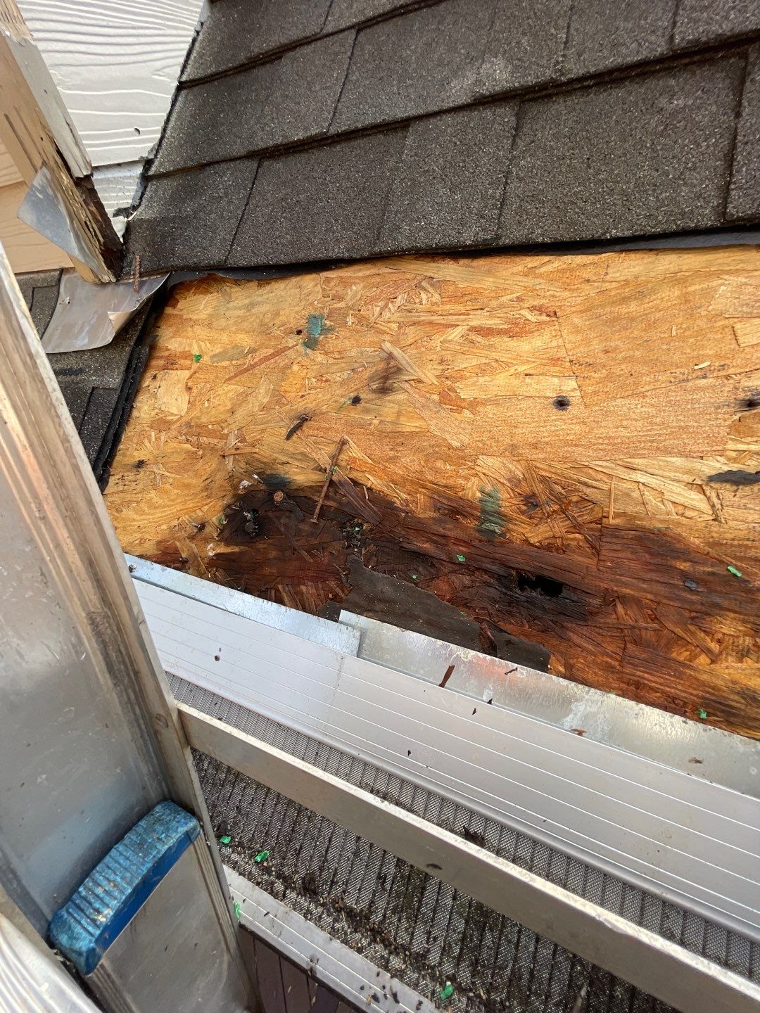 Don’t Wait to Fix a Leak! 🛠️ by Georgia Roof Advisors