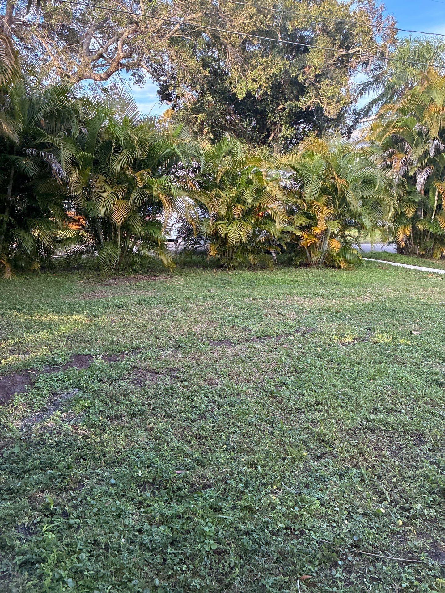 🏡 Pre-Sale Property Cleanup in Old Palm City, FL by Alpha Zeta Enterprises Inc