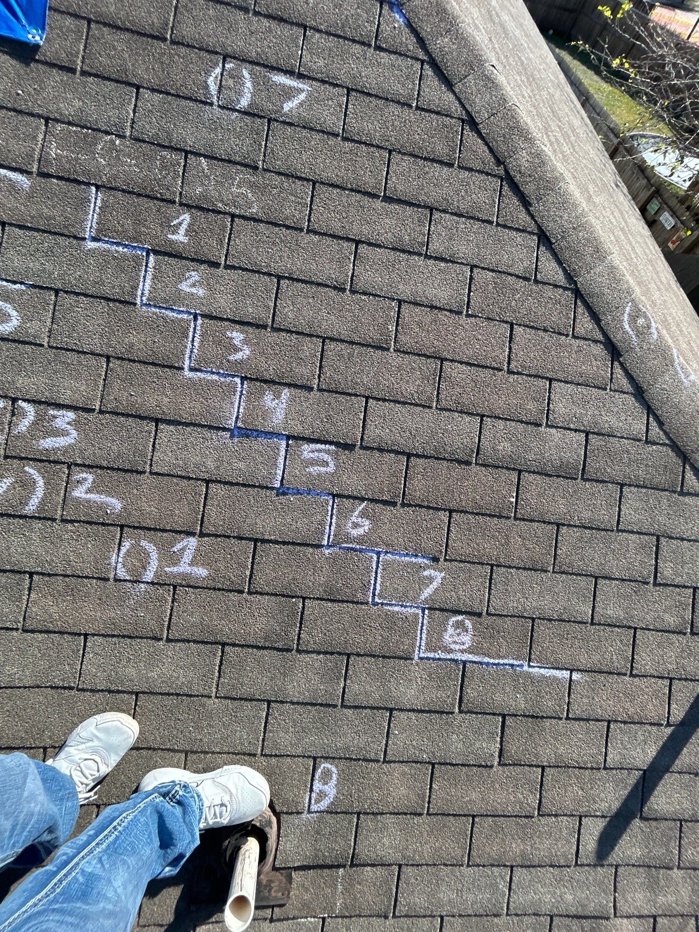 Miss Bridgette by REPS Austin Area Roofer