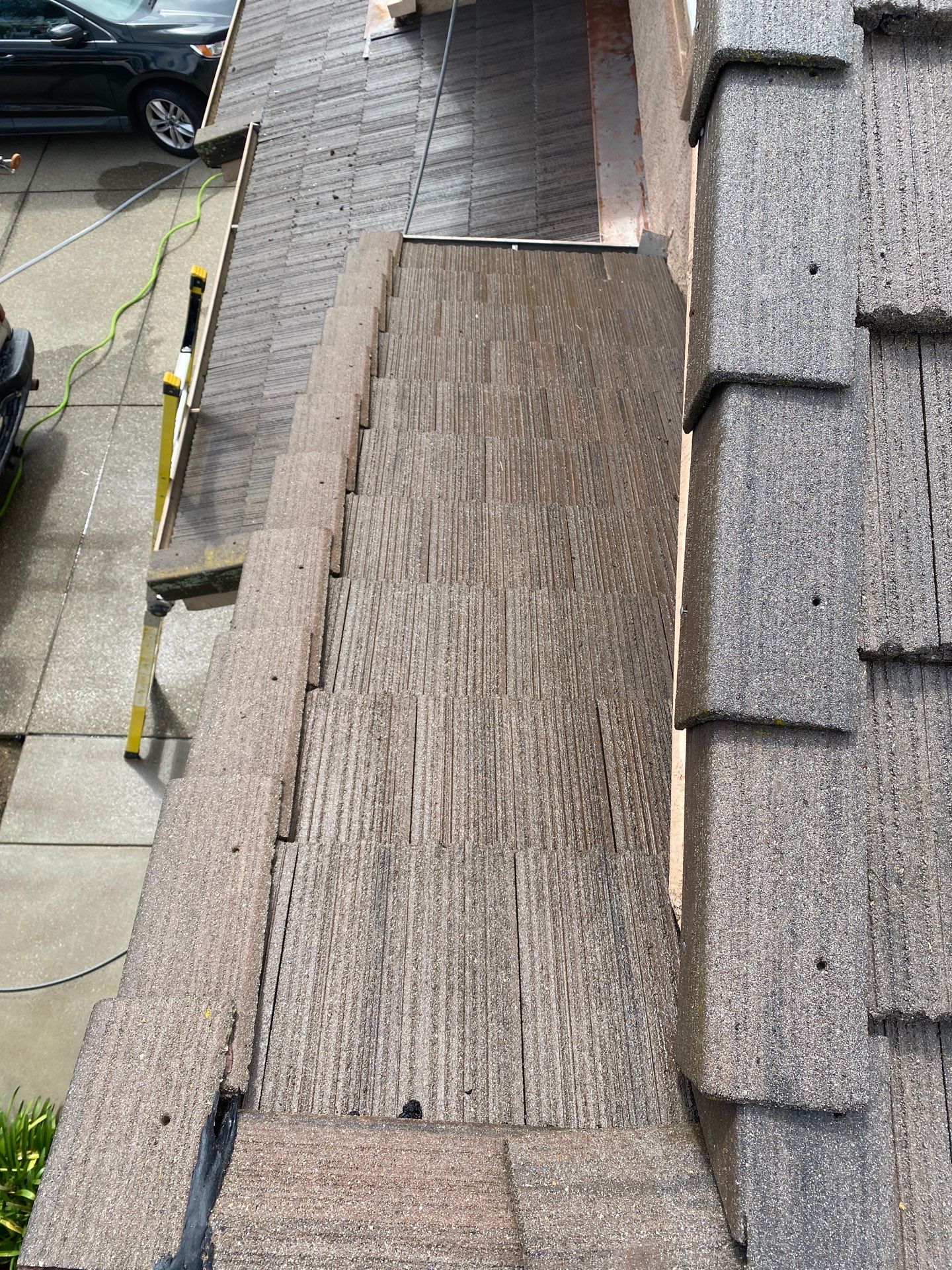 Moss Removal by Top Elevation