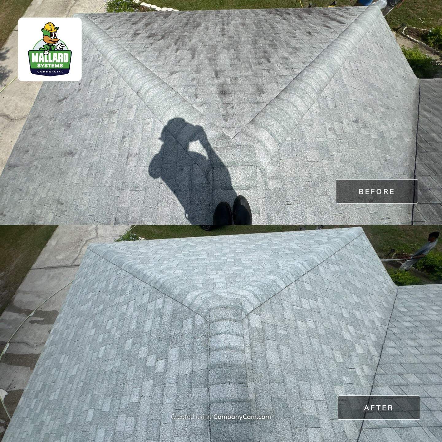 Shingle Roof Cleaning by Mallard Systems