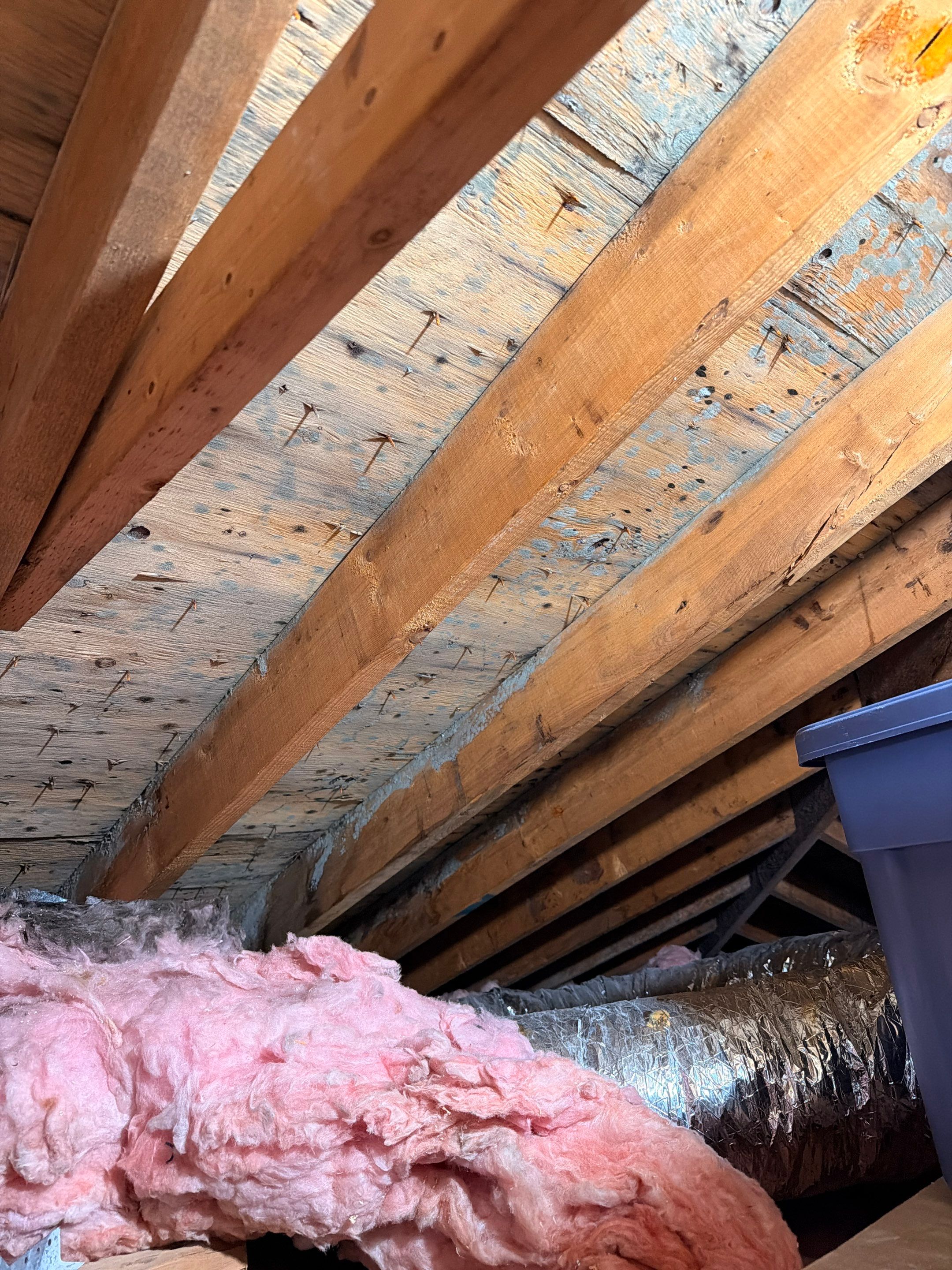 Attic Mold Remediation and Insulation Installation in Ronkonkoma by Newhouse Restoration