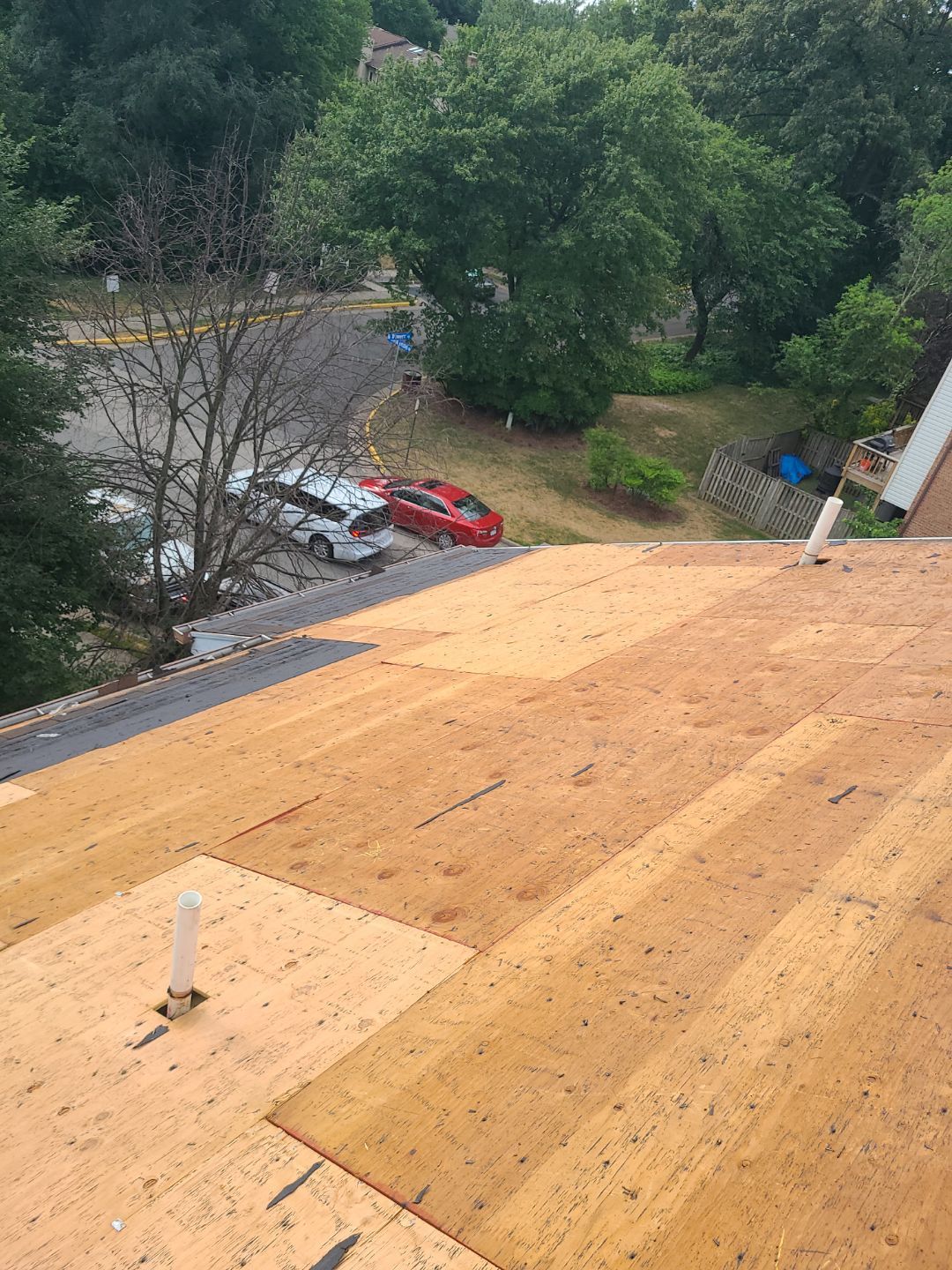 Alexandria: Roof Replacement with CertainTeed Landmark Pro in Max Def Burnt Sienna by RM Banning, Inc.