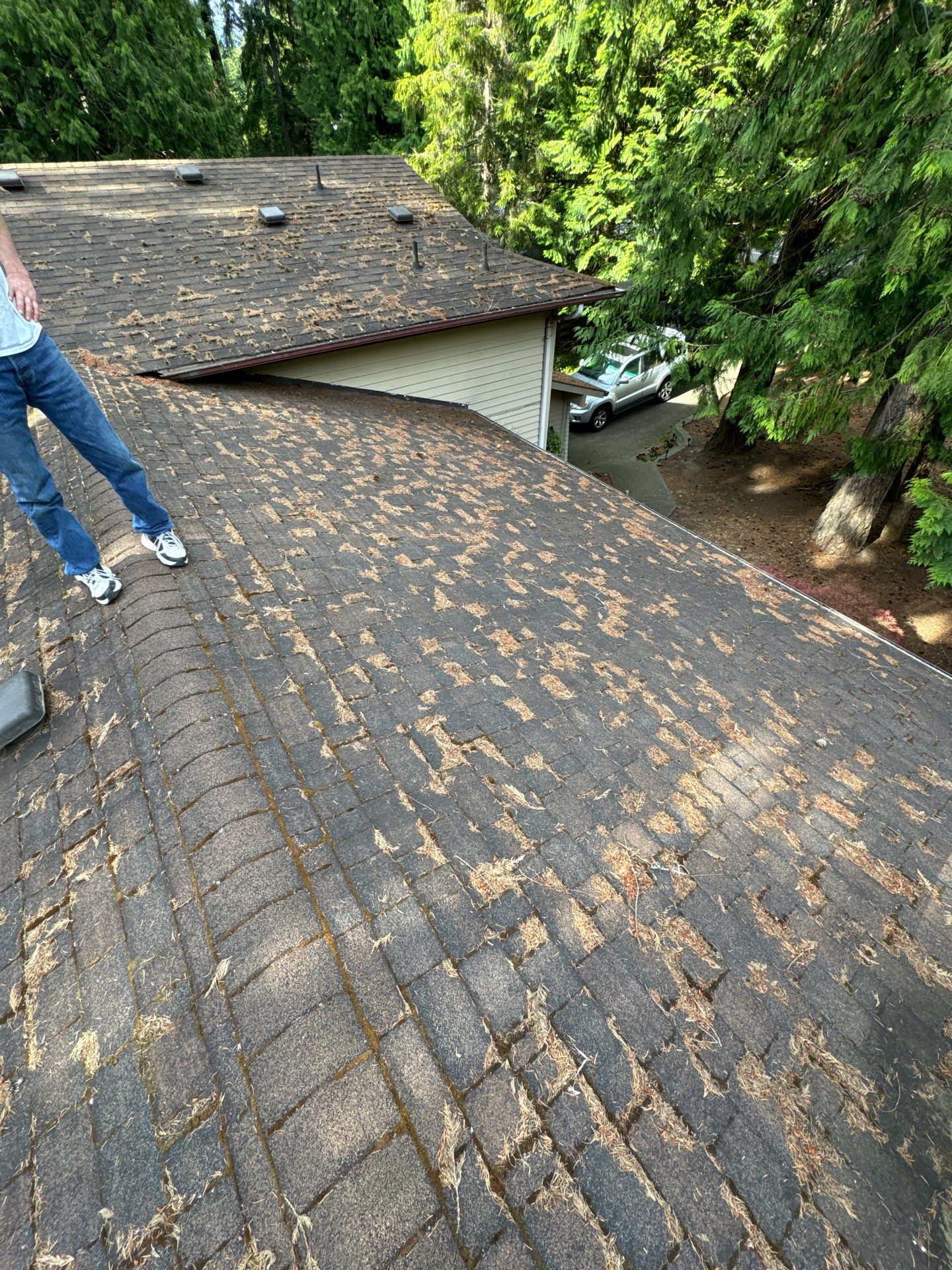 Project in Edmonds by Peaks and Valleys Construction