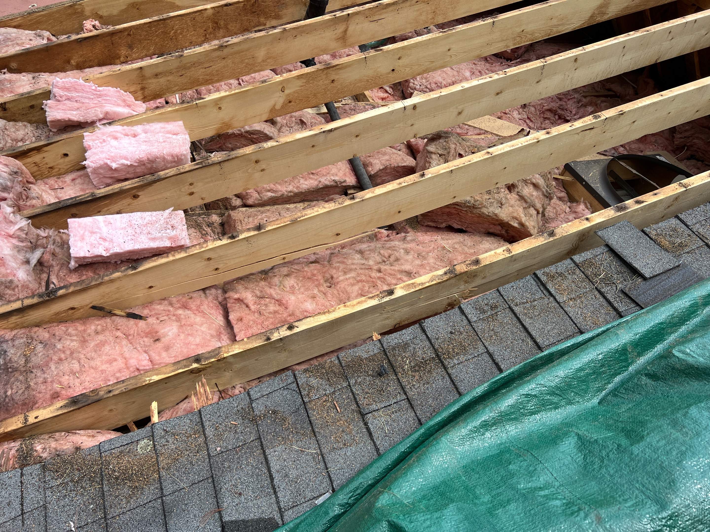 Tree Damage/Roof Repair by Chagnon Building & Remodeling LLC