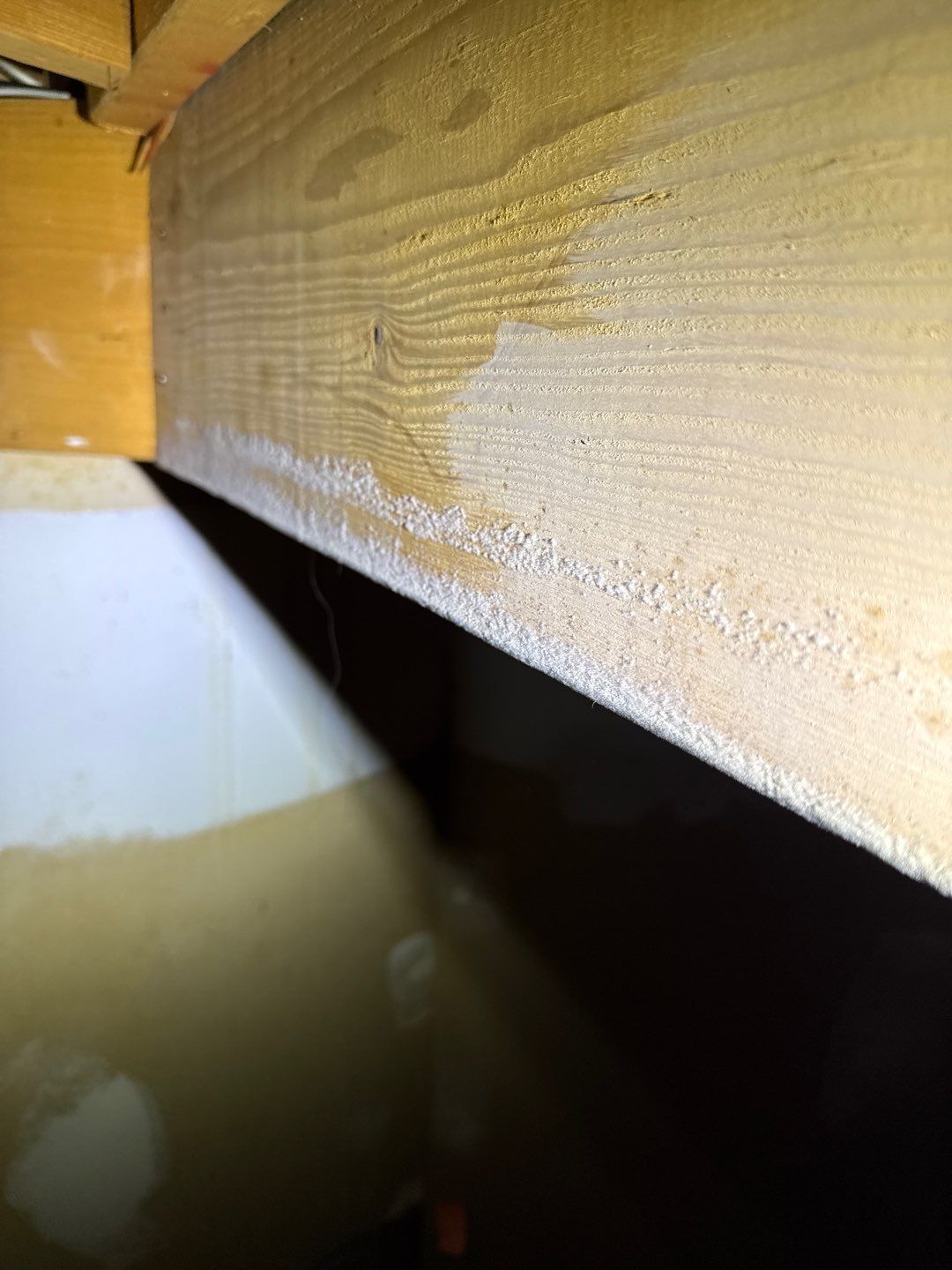 Mold Remediation & Moisture Source Discovery, Middletown, De. by Healthy Home Solutions