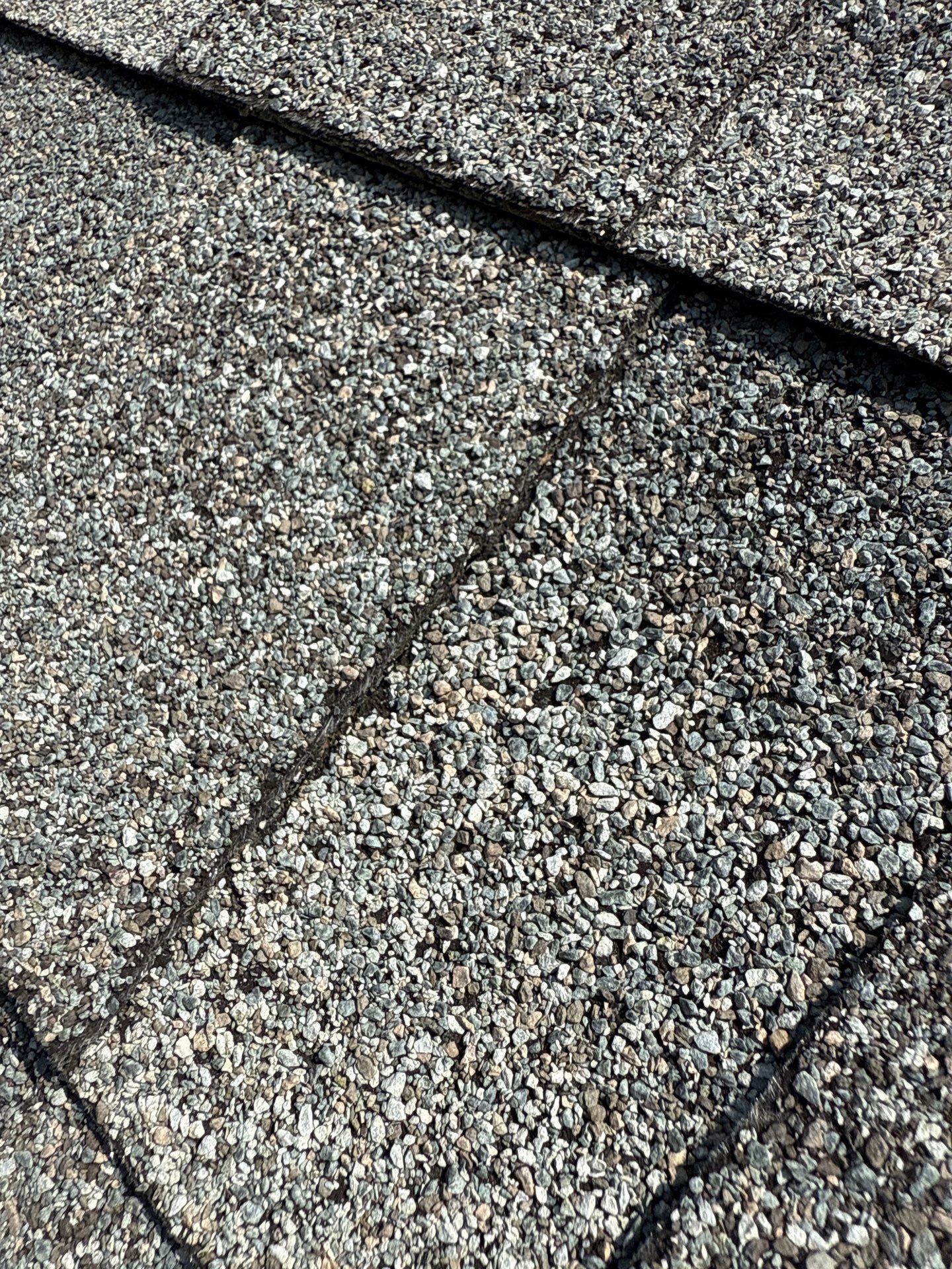 Project in Maidens by Roof Maxx of Midlothian