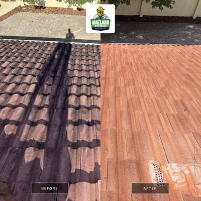 Tile Roof and Paver Driveway Cleaning