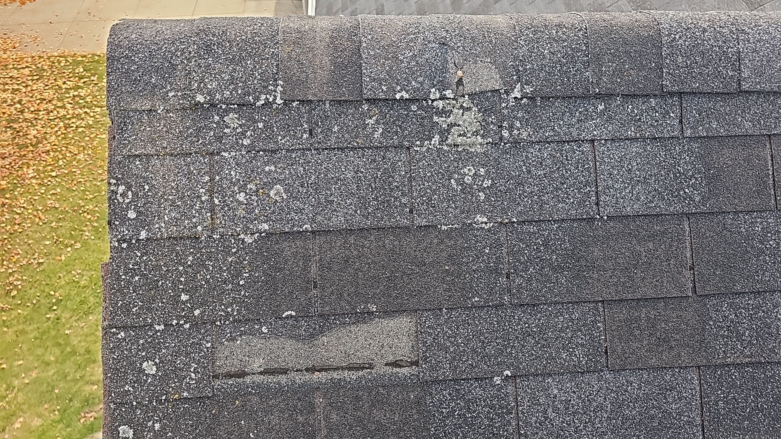 Atlas Pinnacle Pristine, Color: Black Shadow, Drip Edge, Color: Black by Eagle Eye Roofing