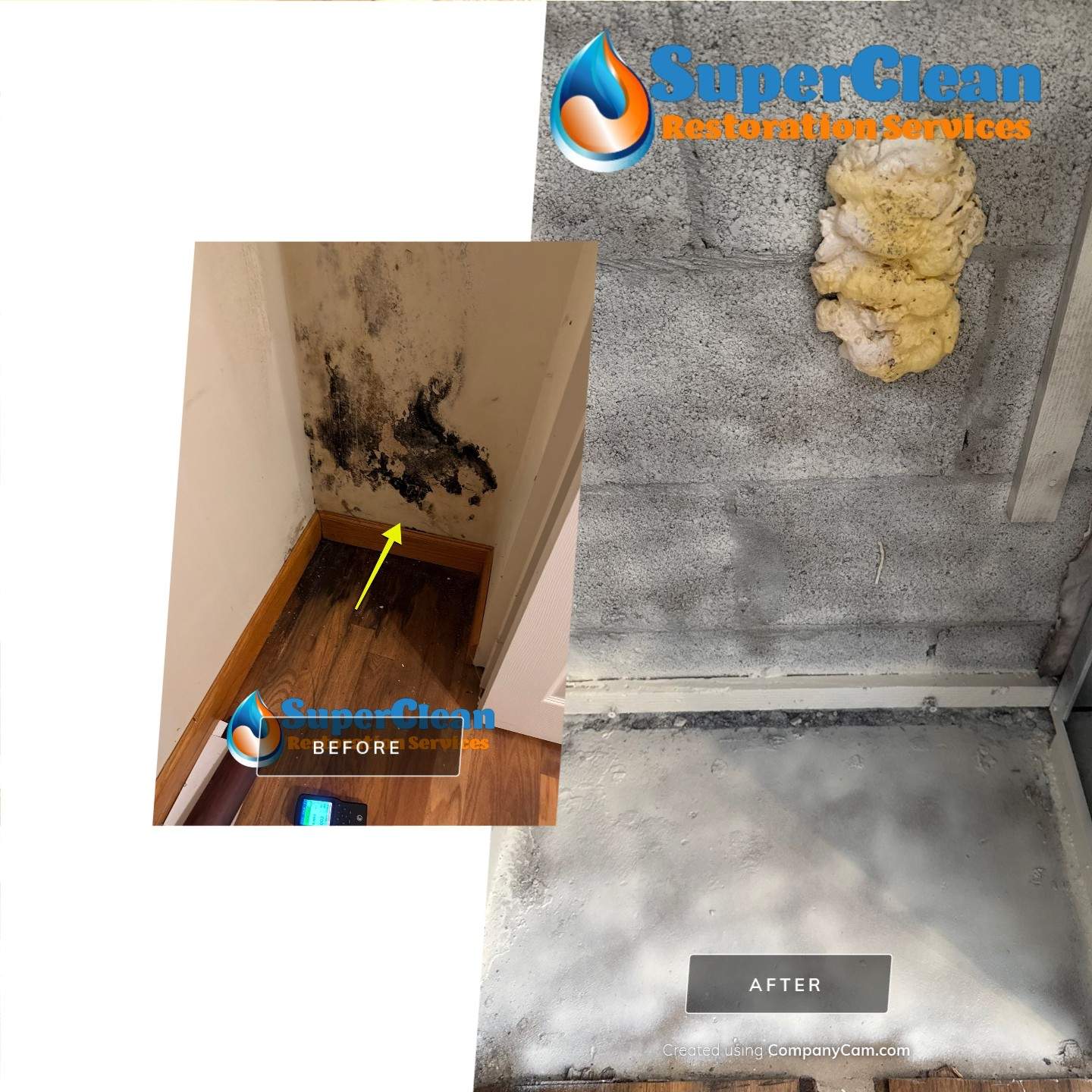 Professional Mold Remediation and Interior Water Damage Restoration in Wellington by SuperClean