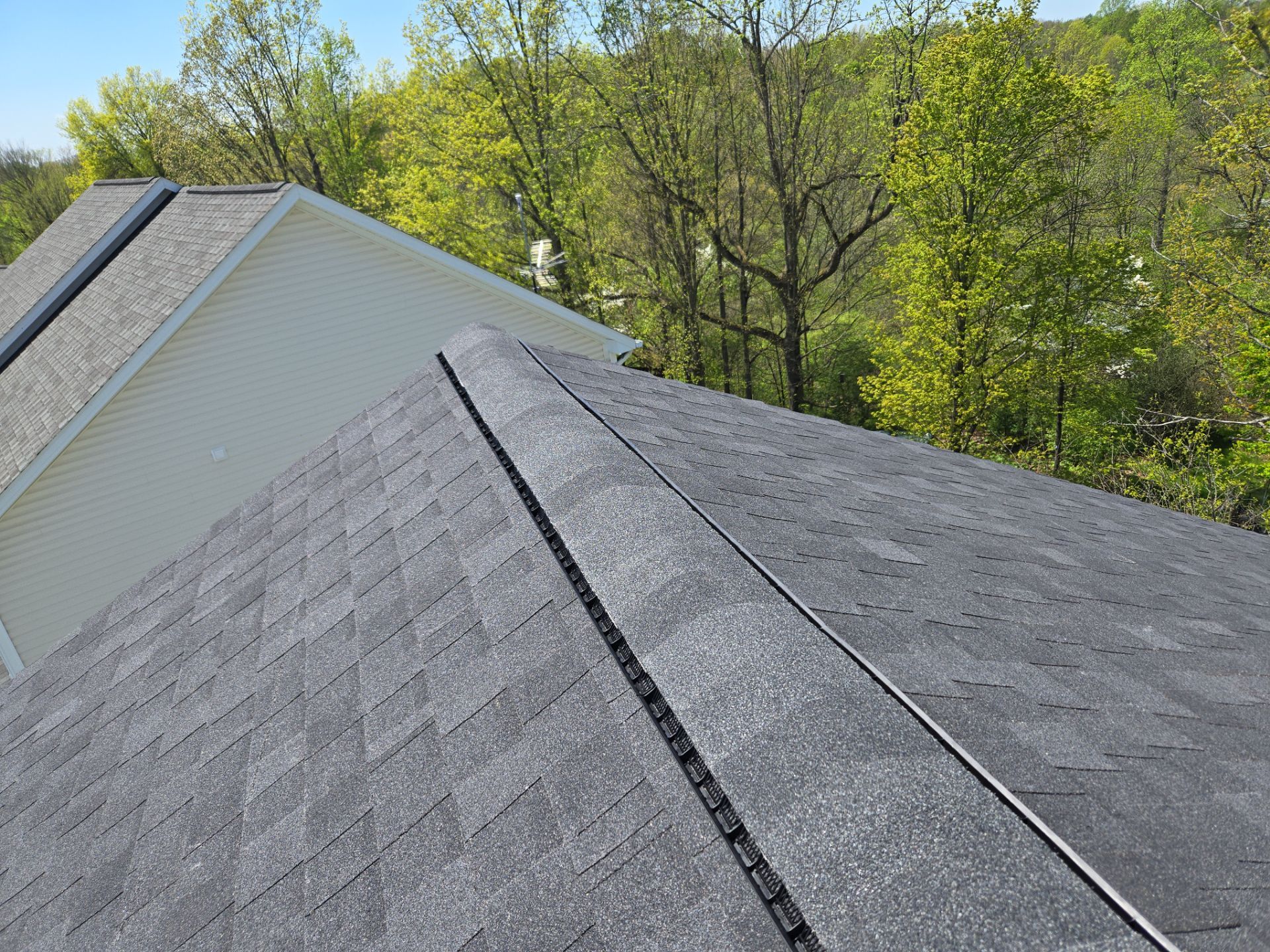 Rebecca N: Atlas Pinnacle, Color, Black Shadow, Drip Edge, Color, White by Eagle Eye Roofing
