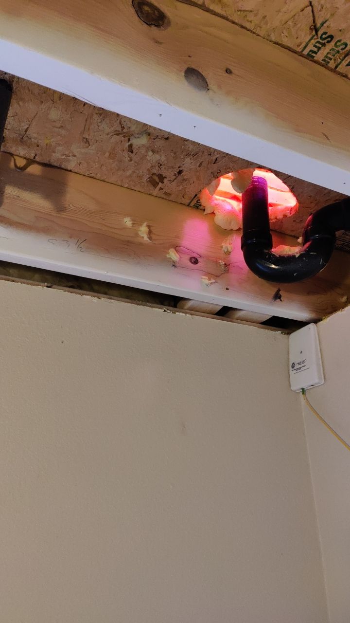 Water Damage and Mold Remediation by Accountable Home Services