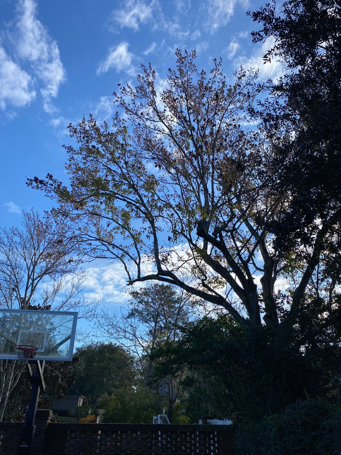 Deerwood Resident | General Landscaping by ProGreen Services