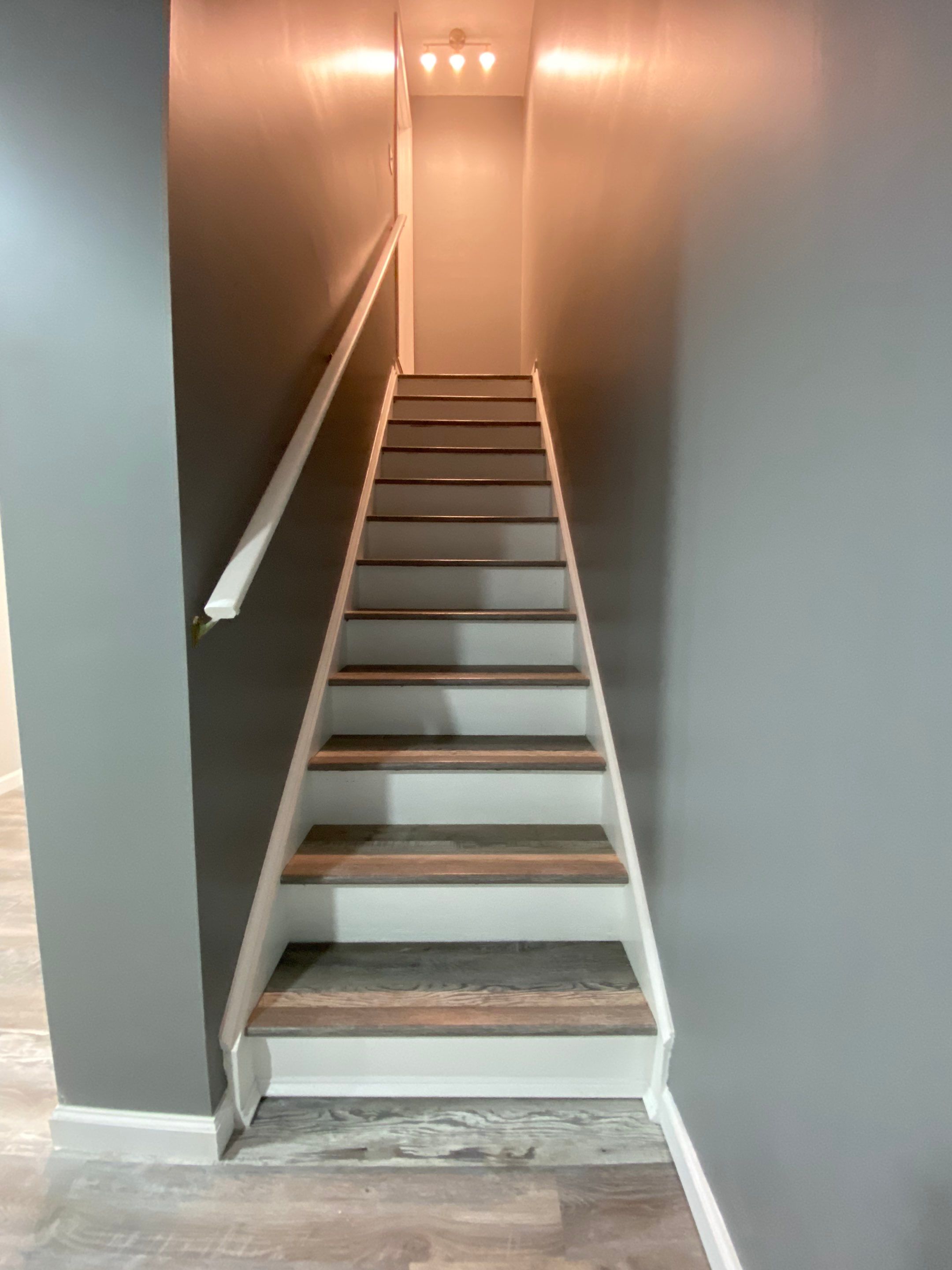 Complete Basement Buildout by The Smet Companies, LLC
