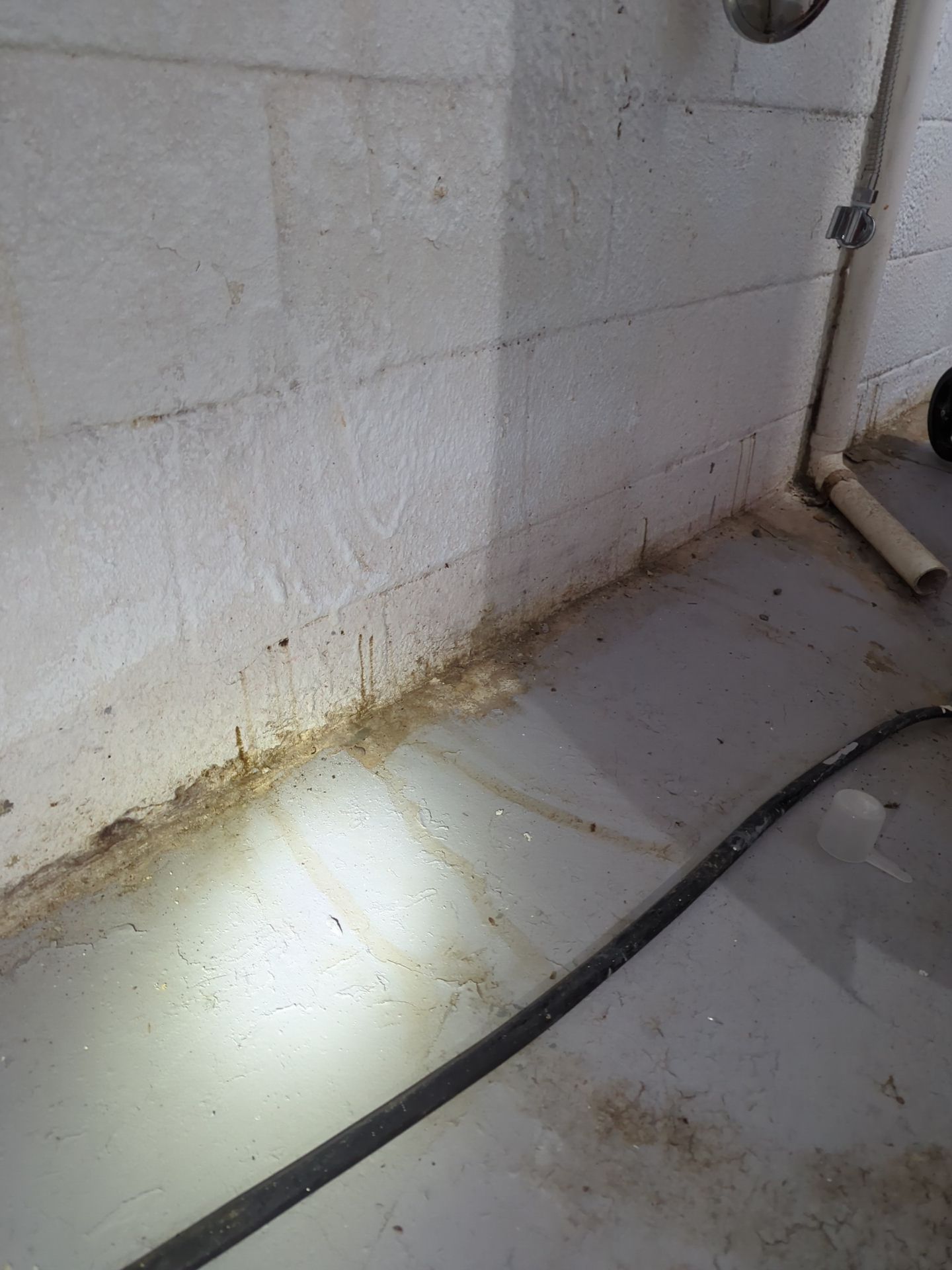 Bowing Wall using Fortress Invisibeams  by ACE Waterproofing & Basement Solutions