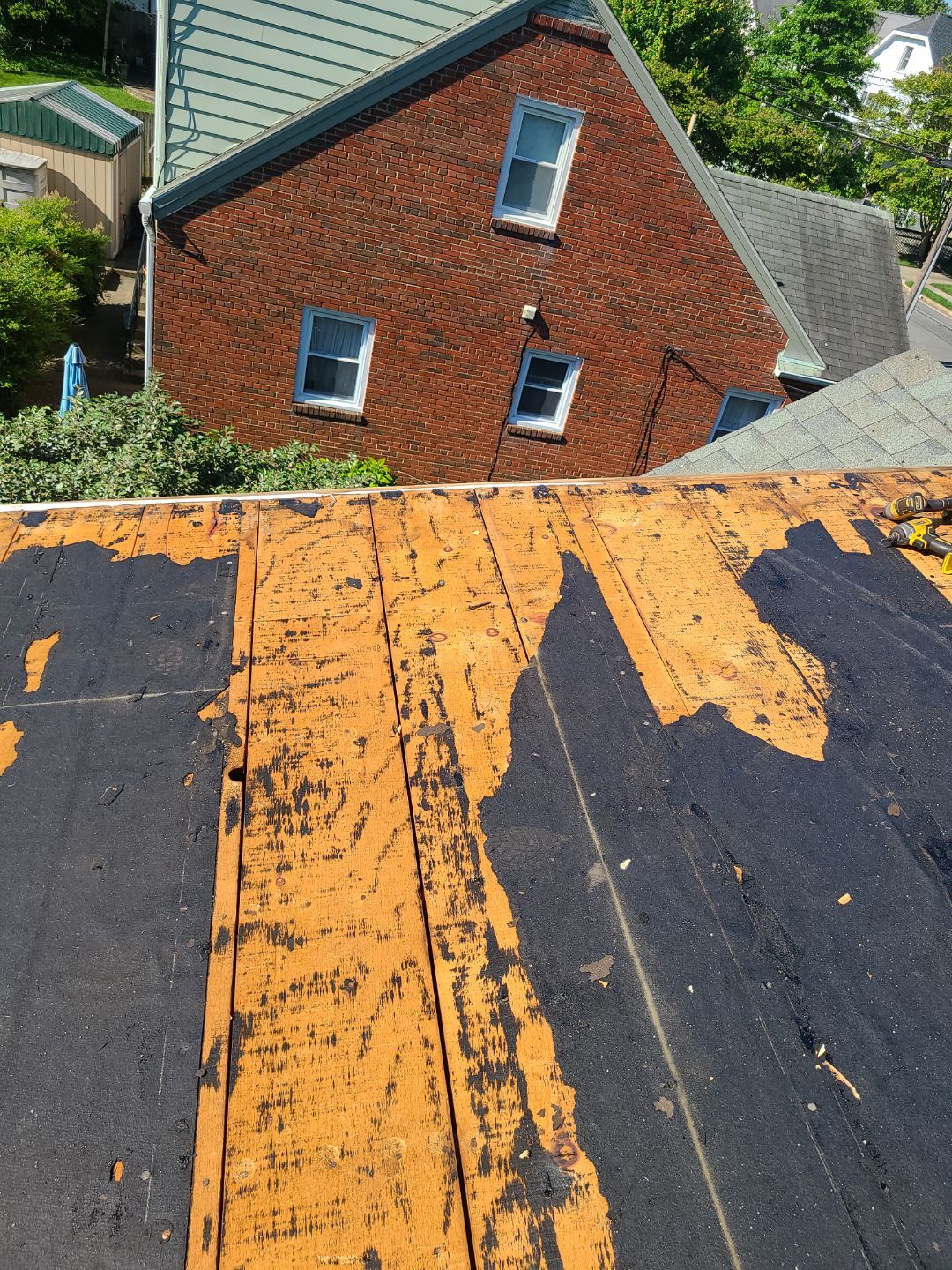 Alexandria: Mule Hide TPO Flat Roof by RM Banning, Inc.