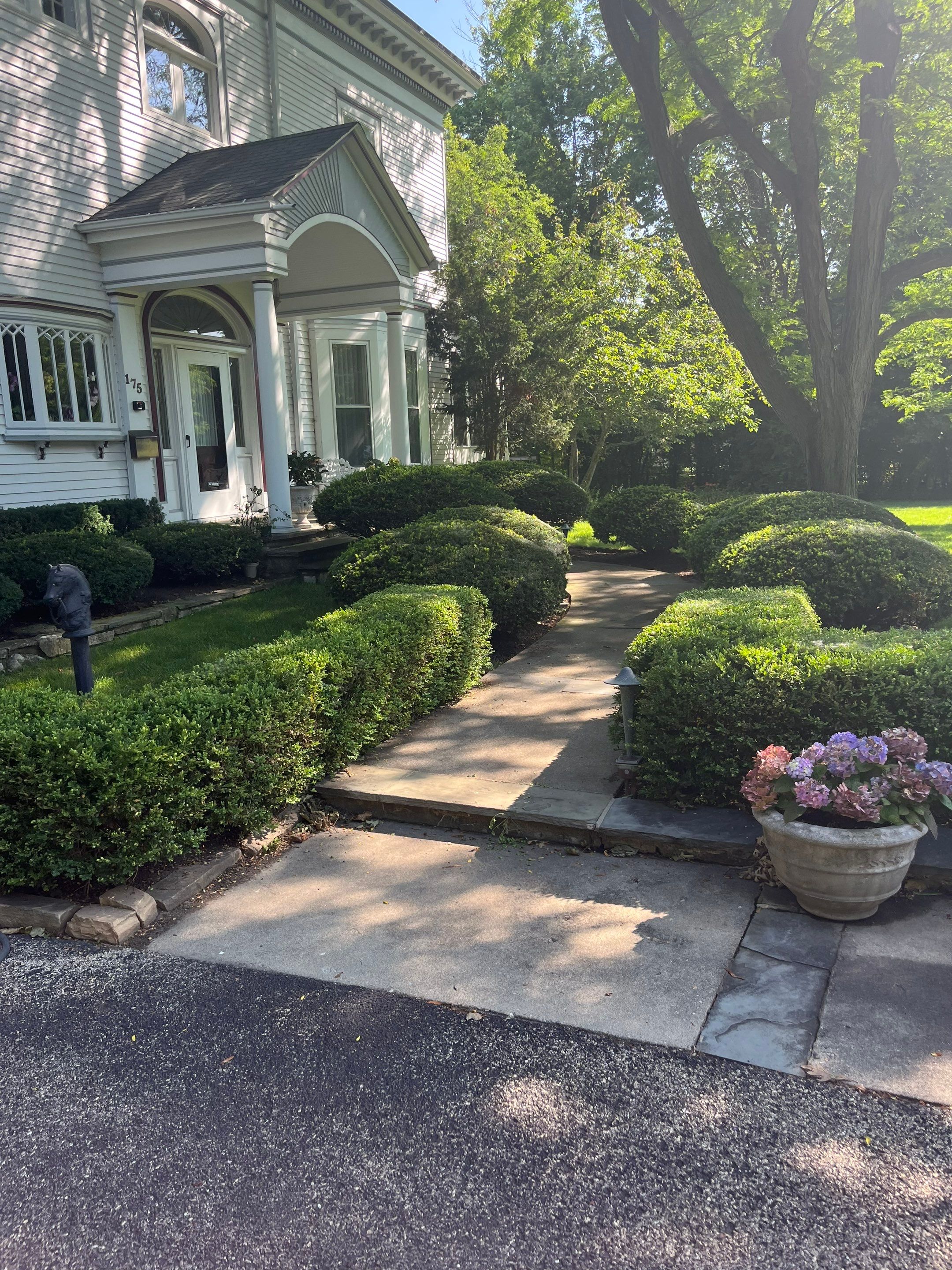 Housewashing  using Algaecide, soft wash soap by Northern Power Washing LLC.