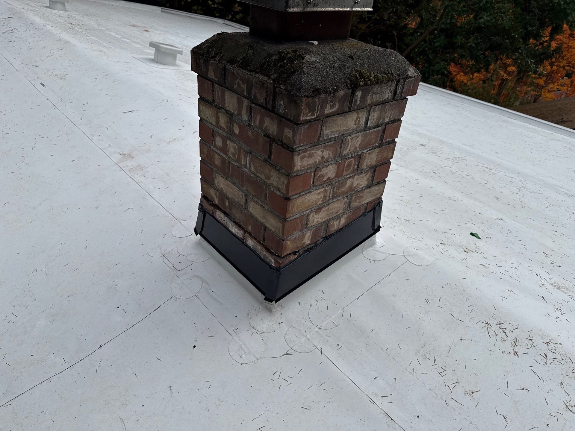 Seattle WA, GAF Everguard TPO  by Proline Roofing & Restoration LLC