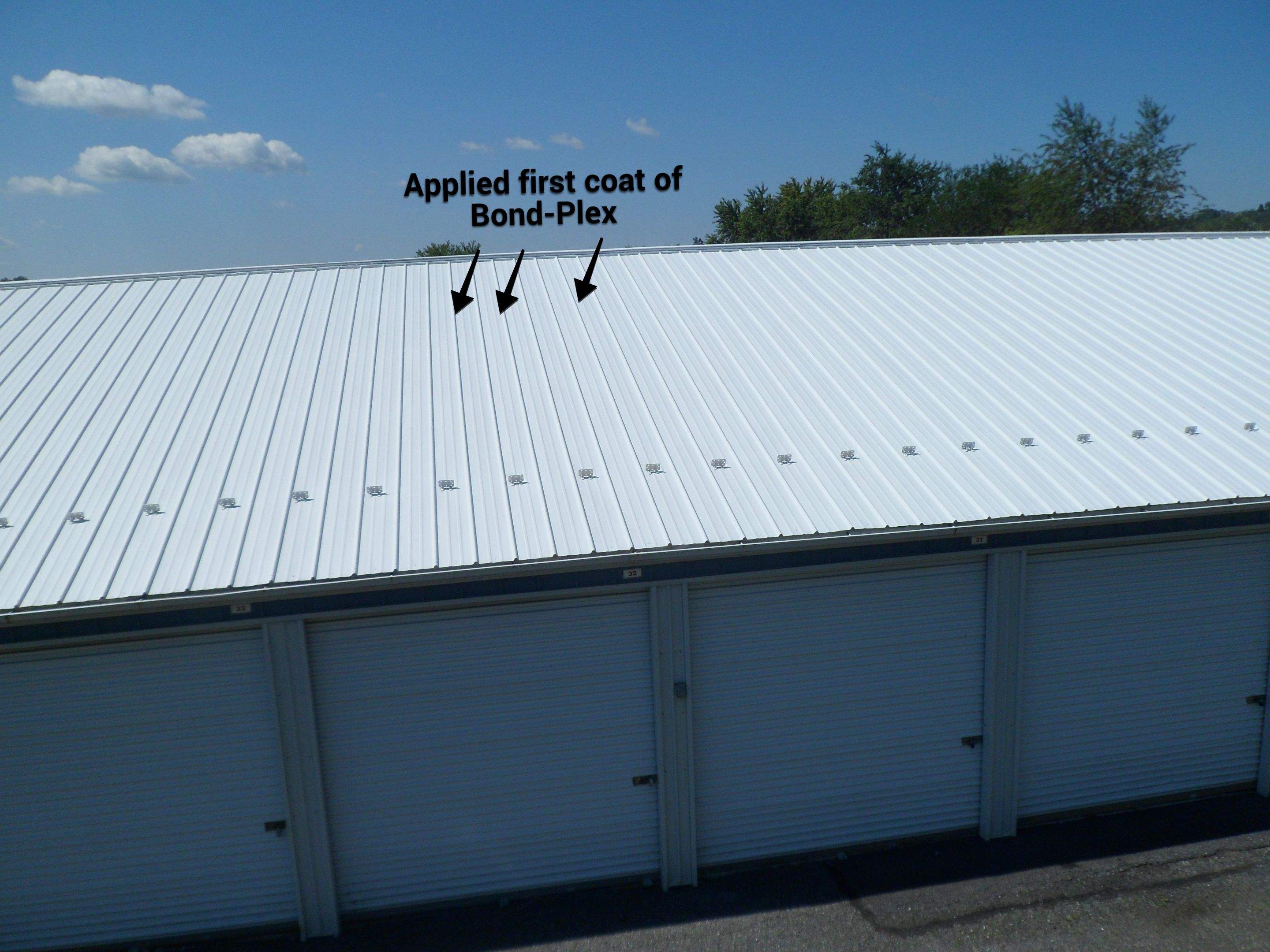 Exterior Painting by Alpha Design Services