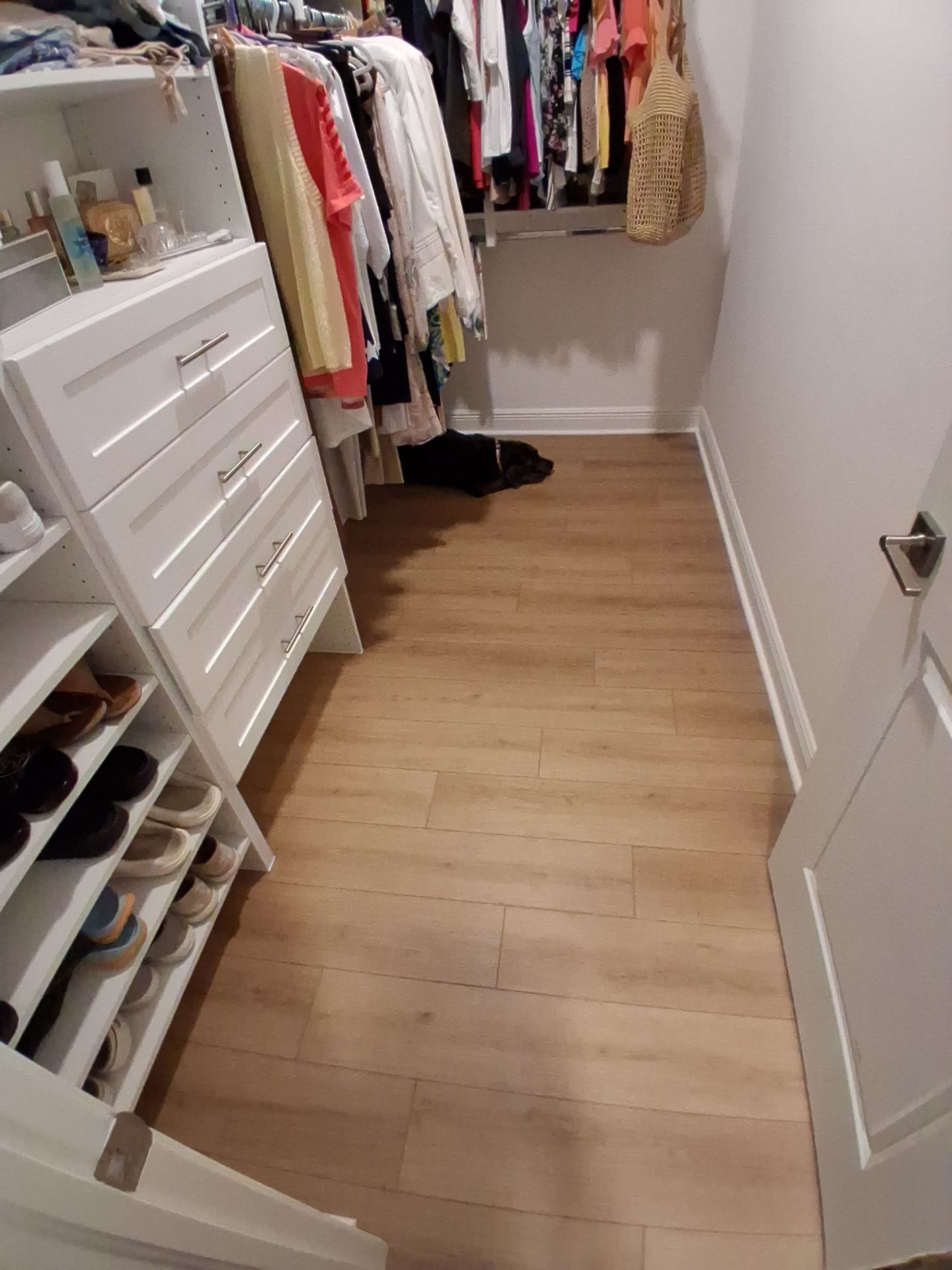 LVP whole house by Vrmmm Flooring