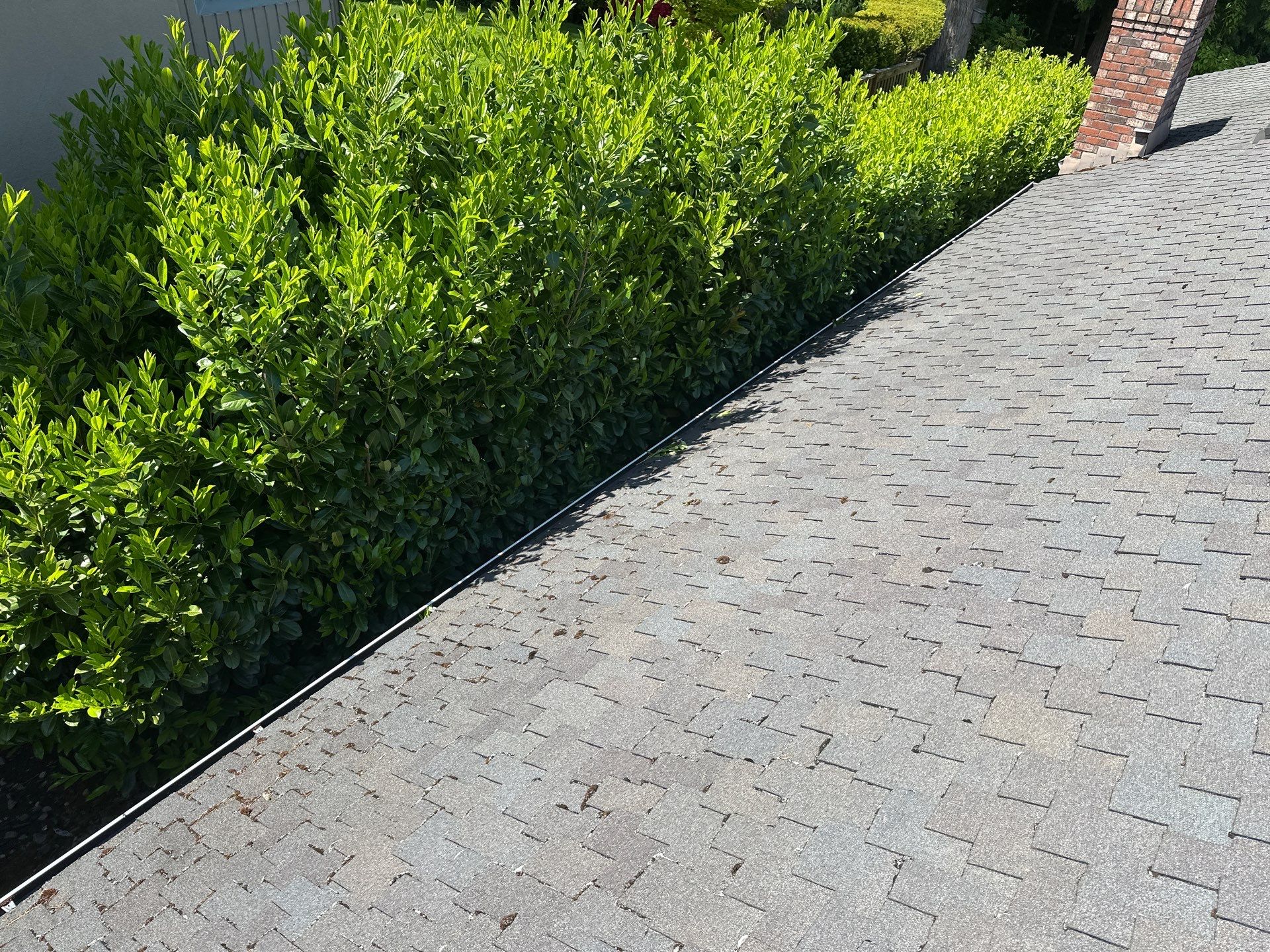 AGS Roof Wash in Sammamish by WindowWorks