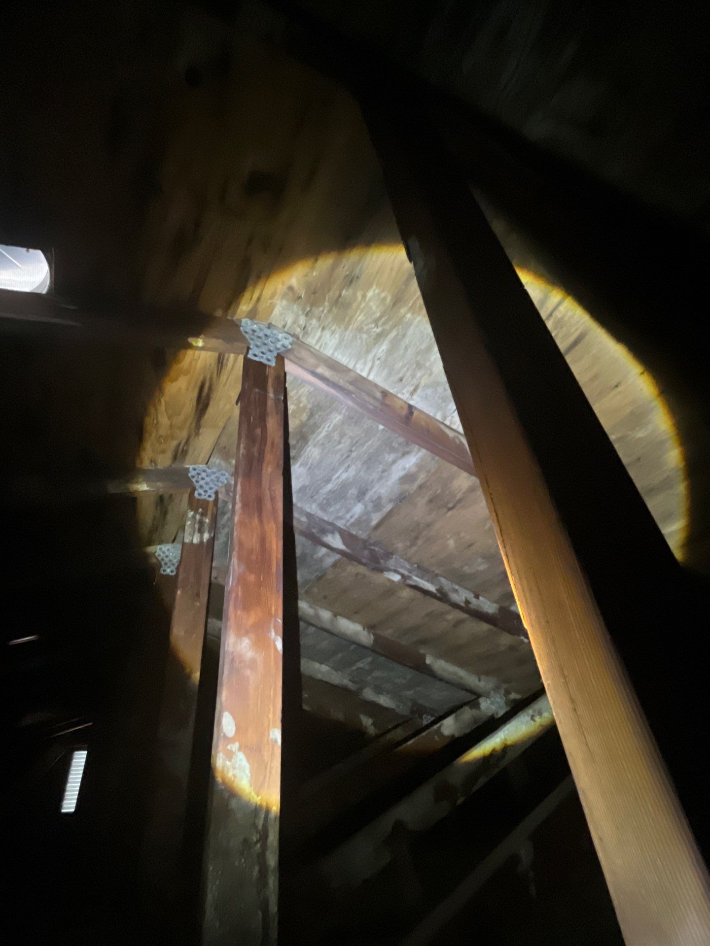 Roof Replacement using Owens Corning Brownwood by 180 Contractors