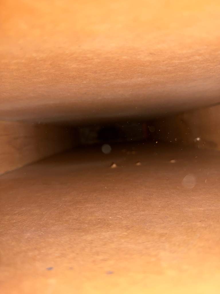 Mold Remediation In Sarasota by Ampm Restoration Services