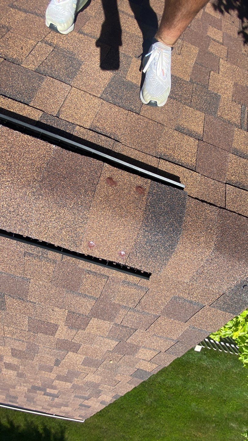 Roof and Windows! by Tamlin Roofing