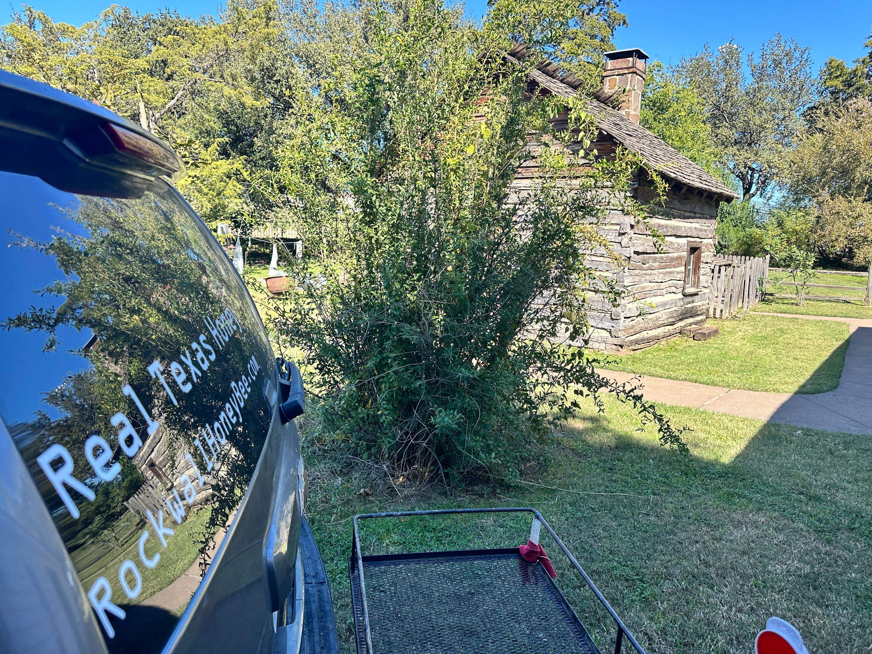 Yellowjackets at City Park by Rockwall Honey Bee Company