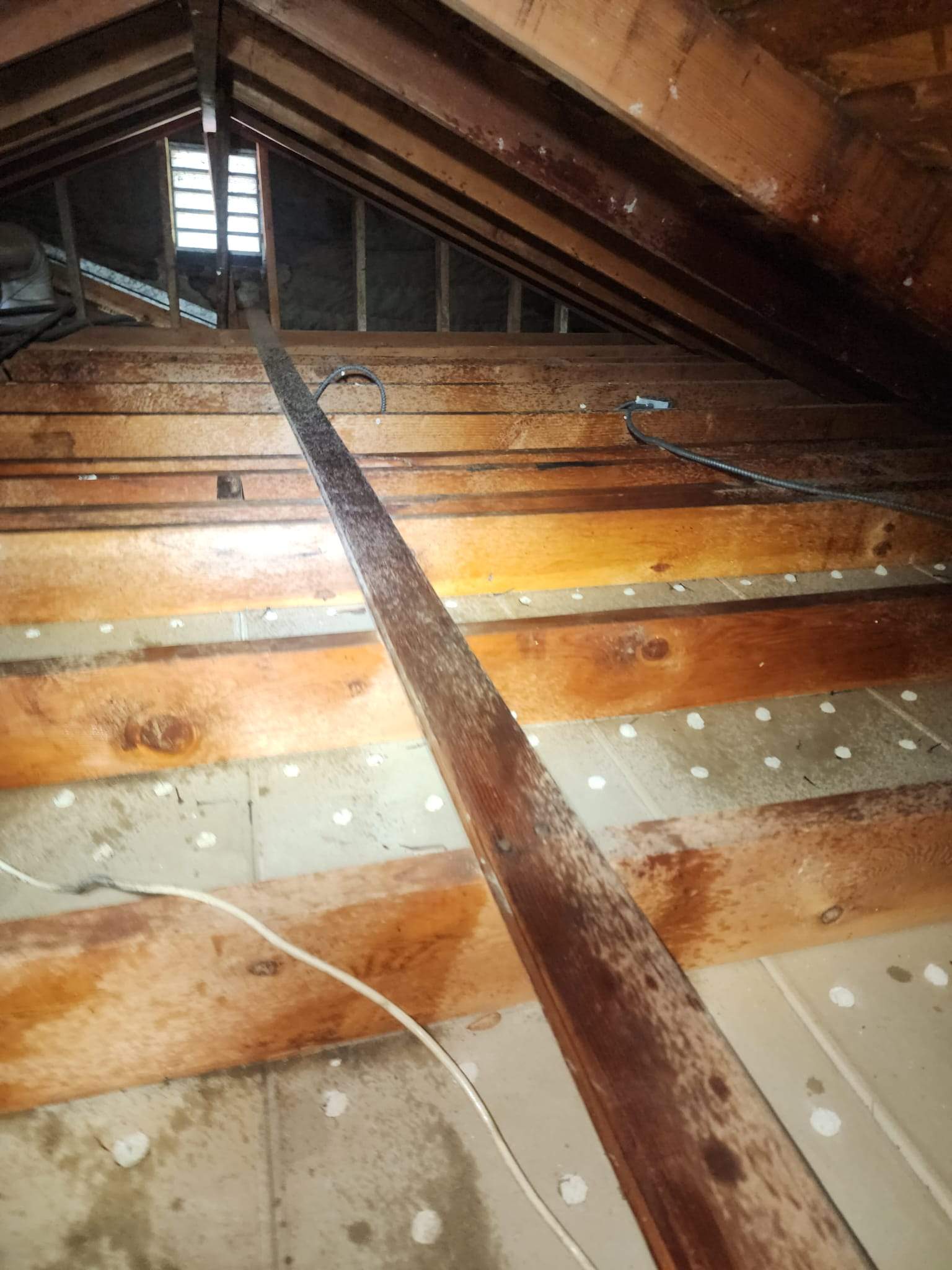 Project by Advanced Attic Solutions by Advanced Attic Solutions