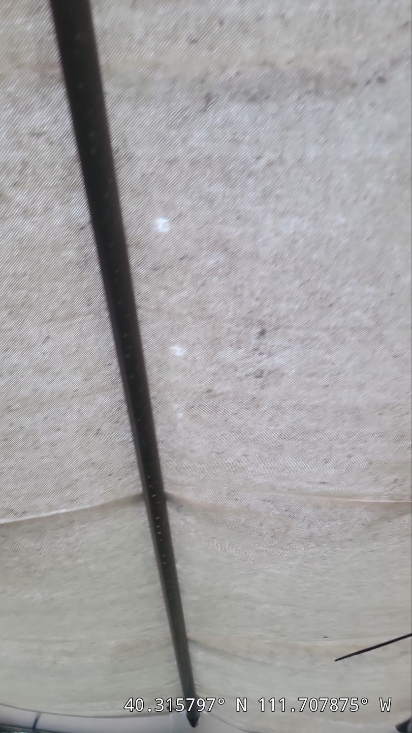Roof Replacement After Hail Damage – Insurance Approved by ASAP Roofing & Exteriors