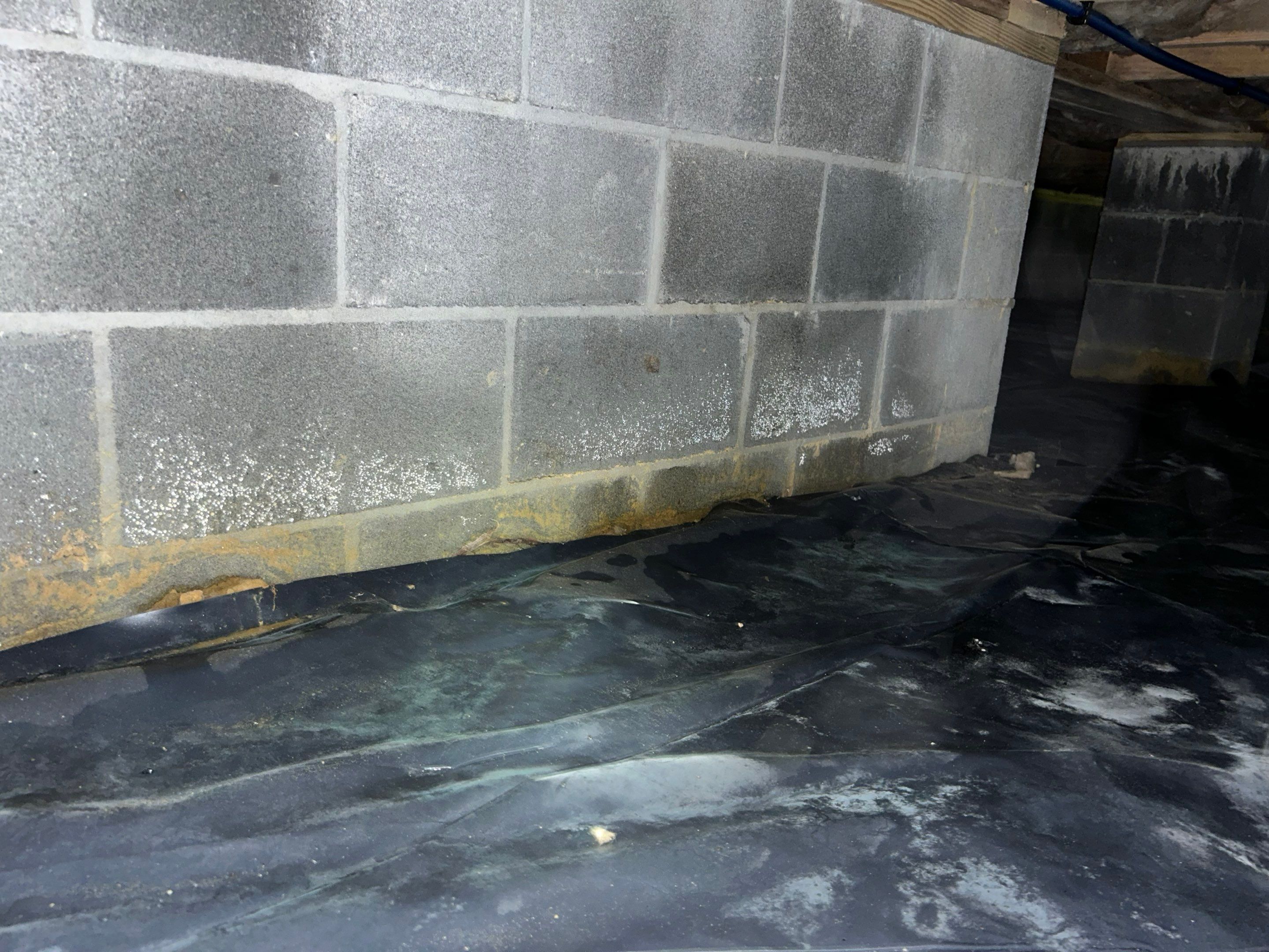 Premium Encapsulation with 20Mil, Borafoam insulation and Light System. by Impact Crawlspace